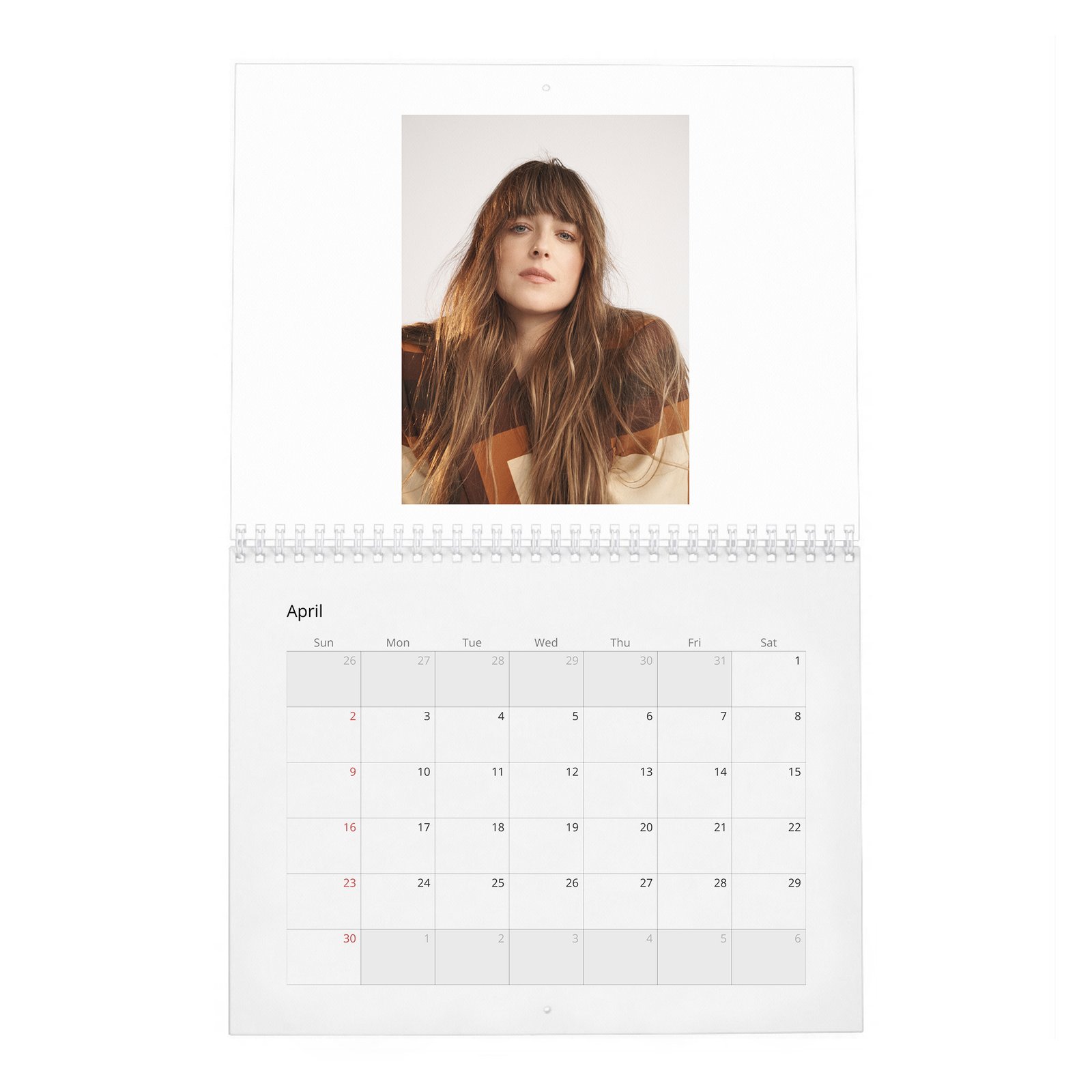 Dakota Johnson - Finding Her Light 2027 Wall Calendar