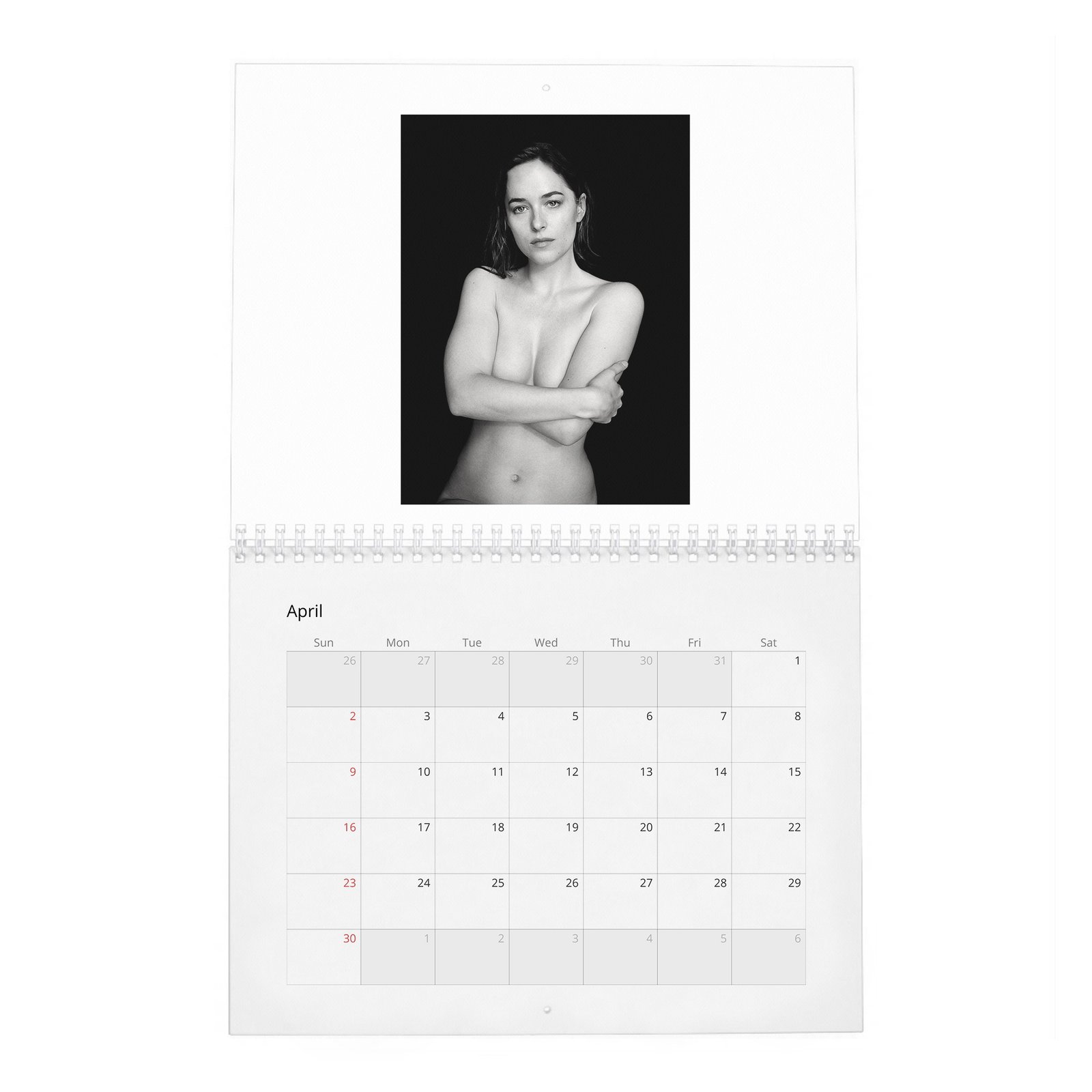 Dakota Johnson - Present A New Vision 2027 Wall Calendar