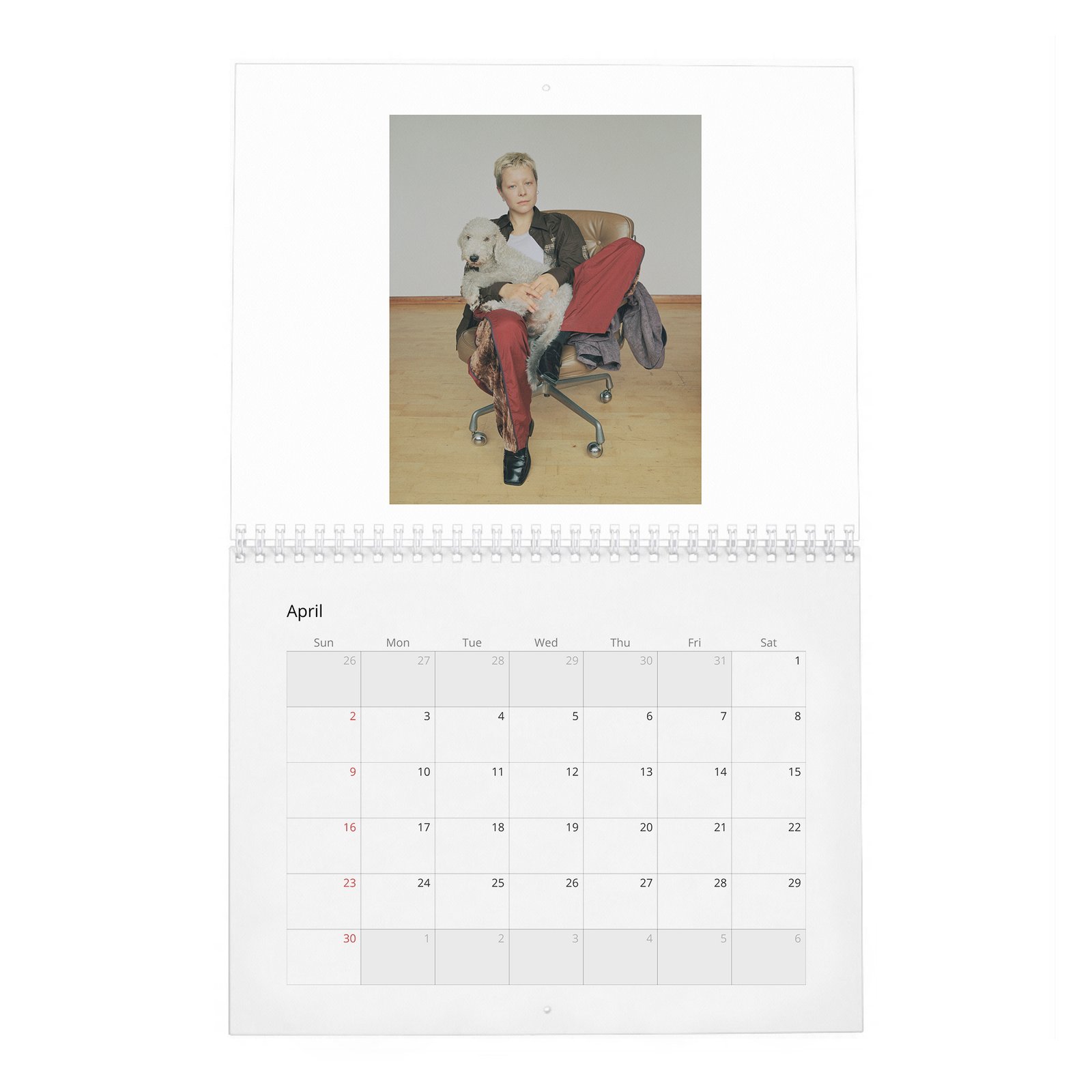 Emma D’Arcy - The Dragon Queen 2027 Wall Calendar