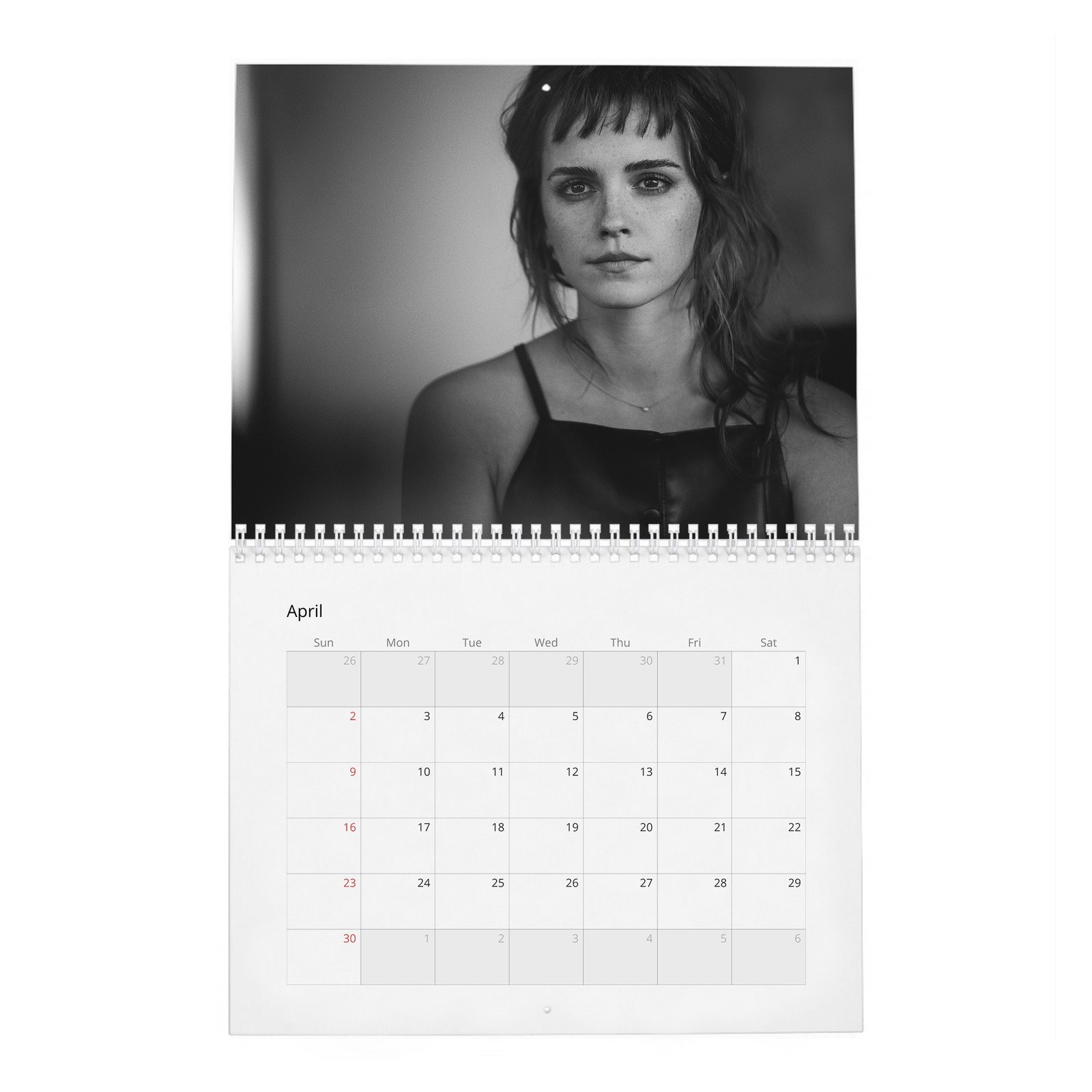 Emma Watson - Voice For Change 2027 Wall Calendar