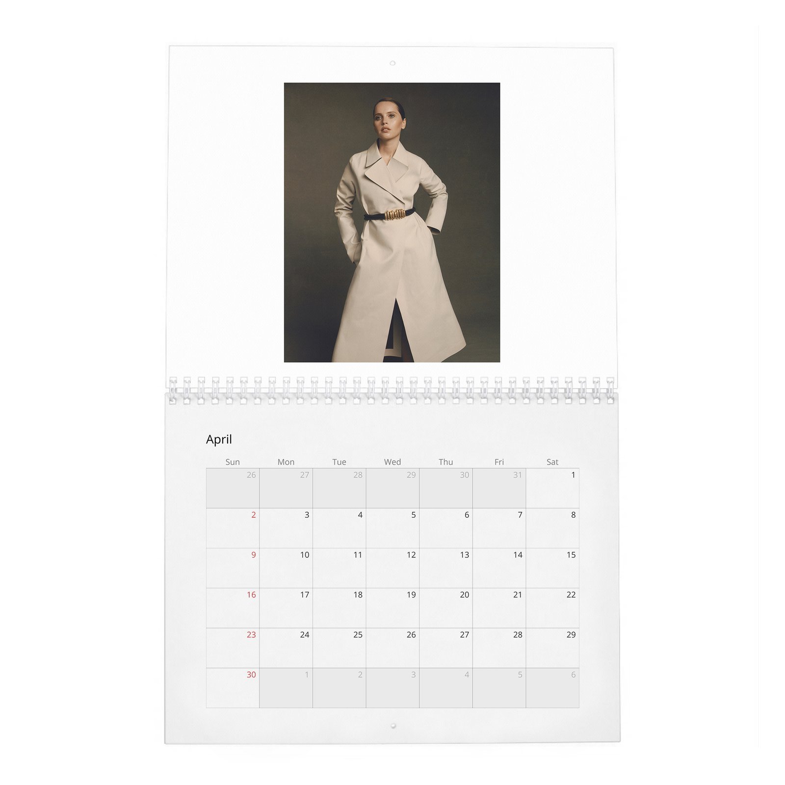 Felicity Jones - Rebel With A Cause 2027 Wall Calendar