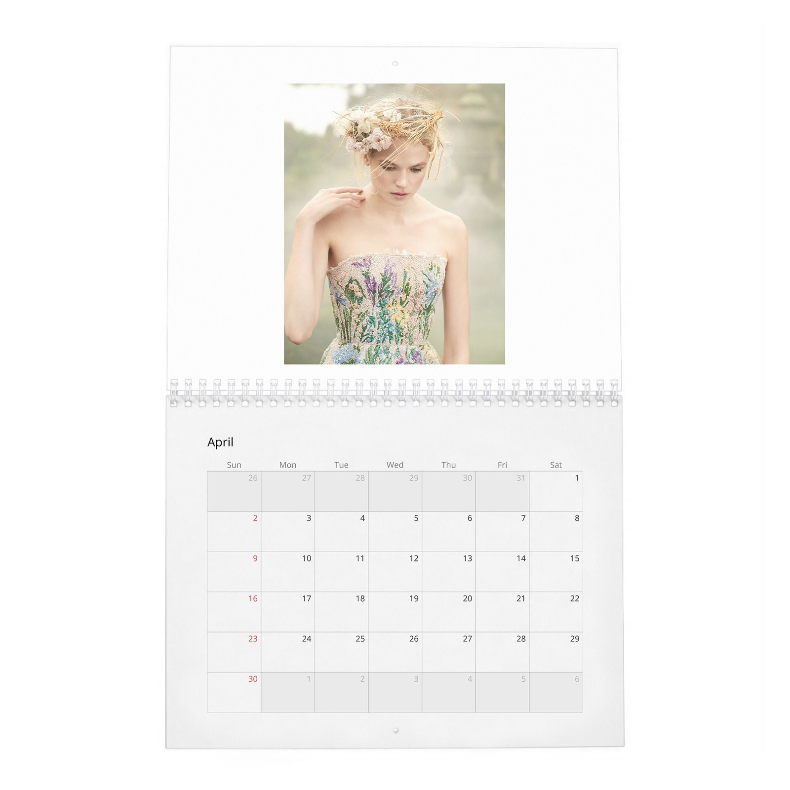 Gabriella Wilde - In Fine Feather 2027 Wall Calendar