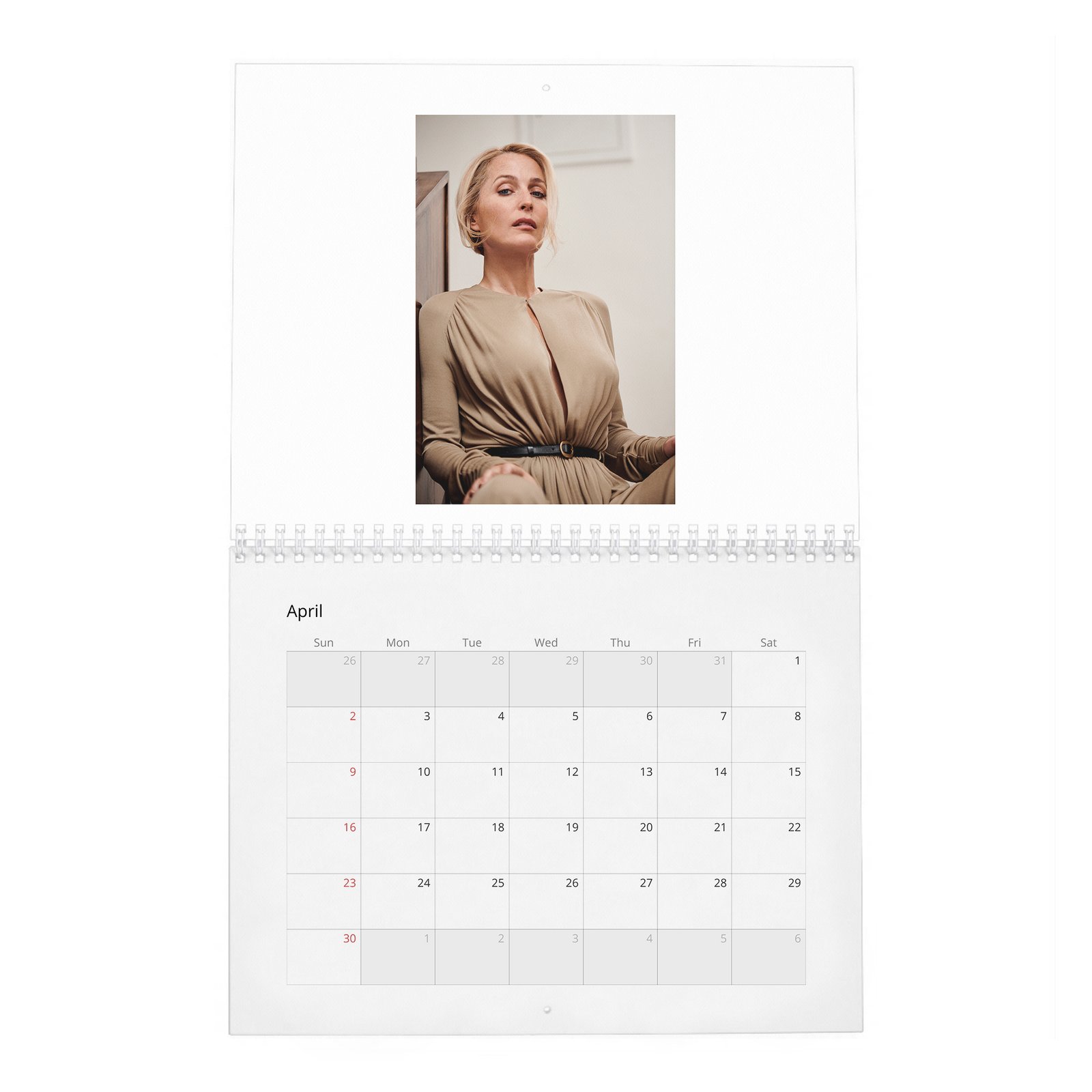 04 Gillian Anderson - Prime Time 2027 Wall Calendar