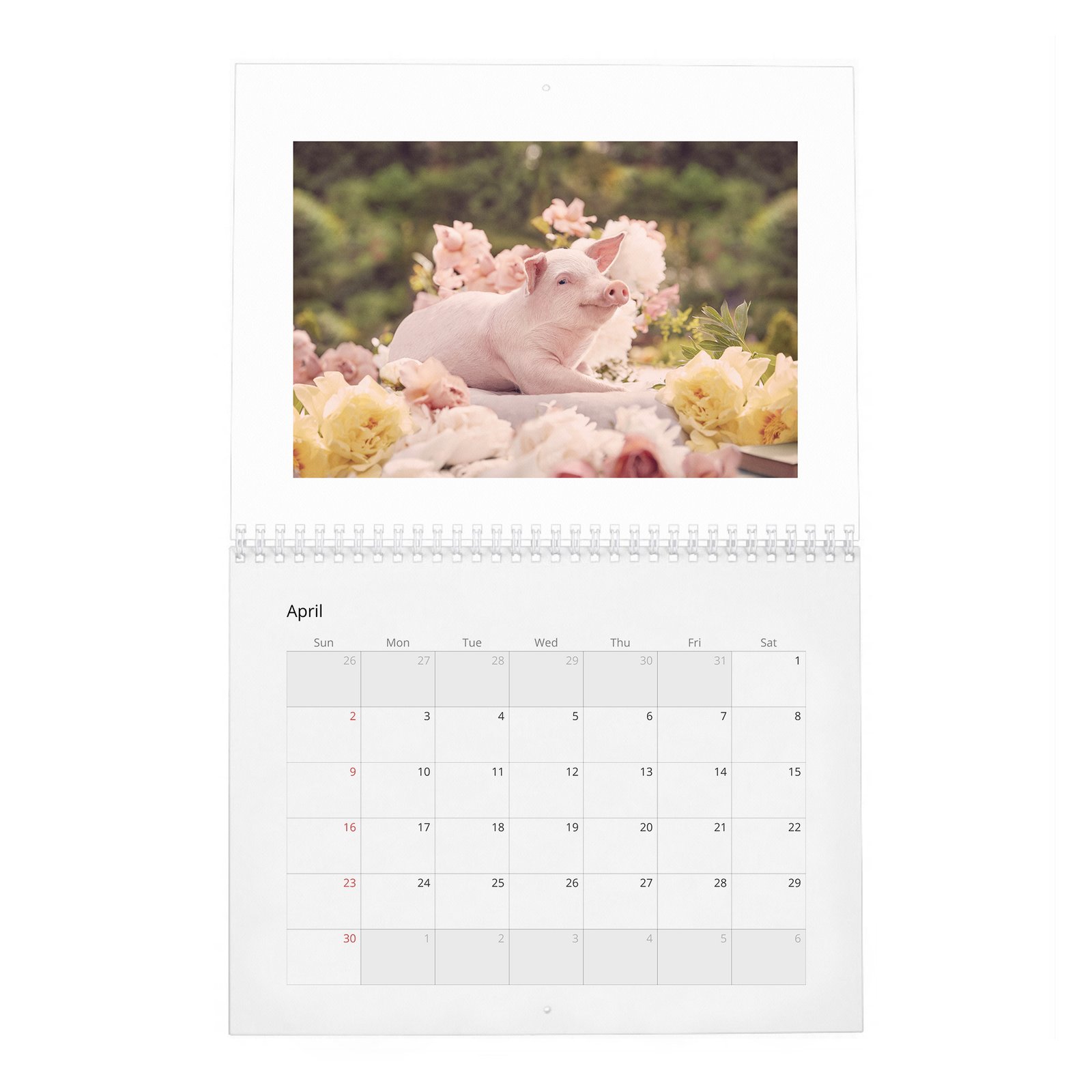 04 Hayley Atwell - Inside The Hundred Acre Wood 2027 Wall Calendar