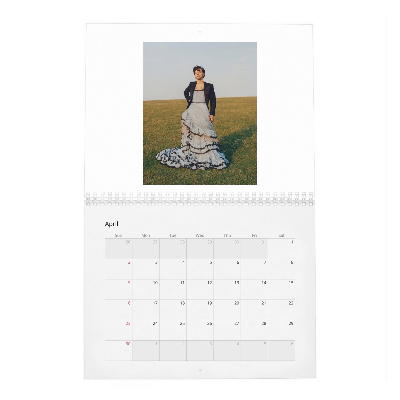 04 Harry Styles - Playtime 2027 Wall Calendar