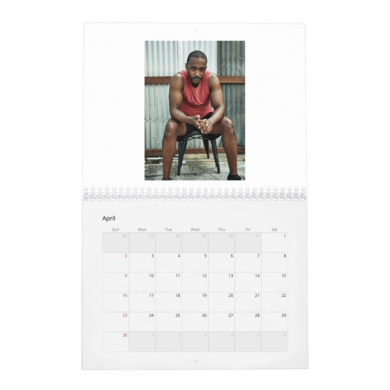 04 Anthony Mackie - Your New Captain 2027 Wall Calendar