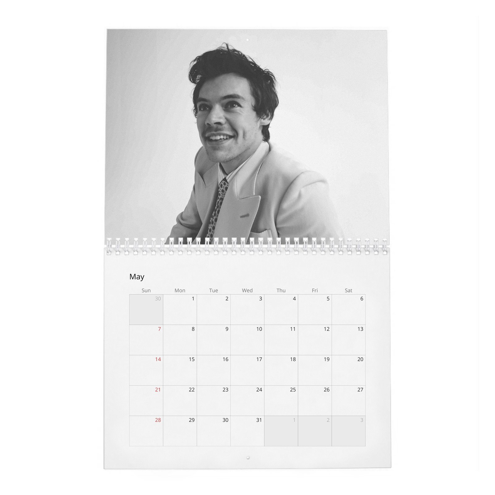 05 Harry Styles - House of Styles 2027 Wall Calendar