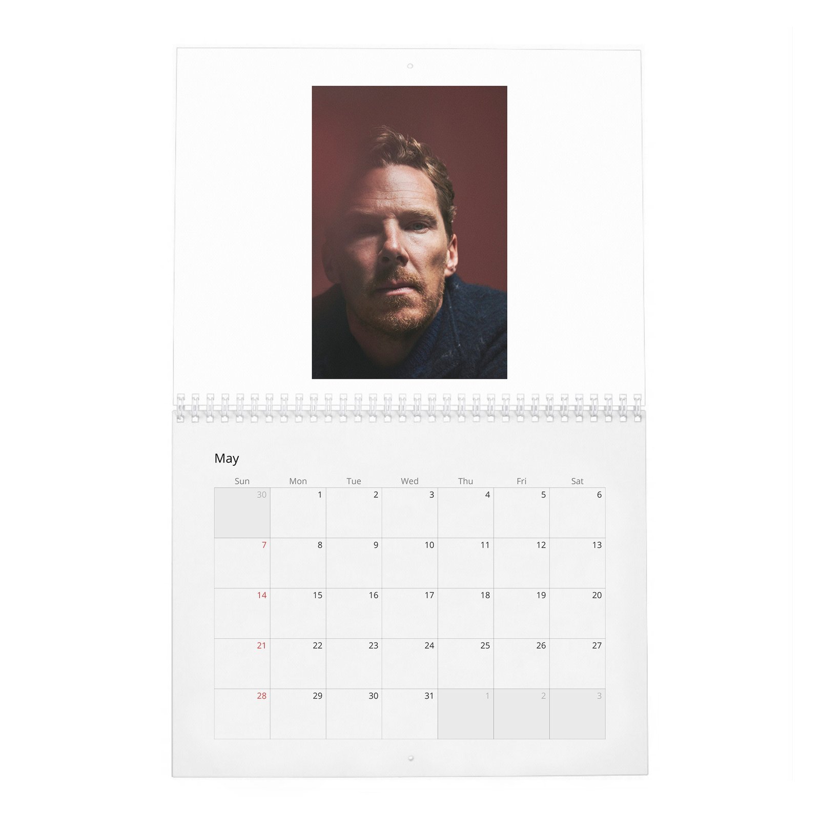 Benedict Cumberbatch - Man Of The Moment 2027 Wall Calendar