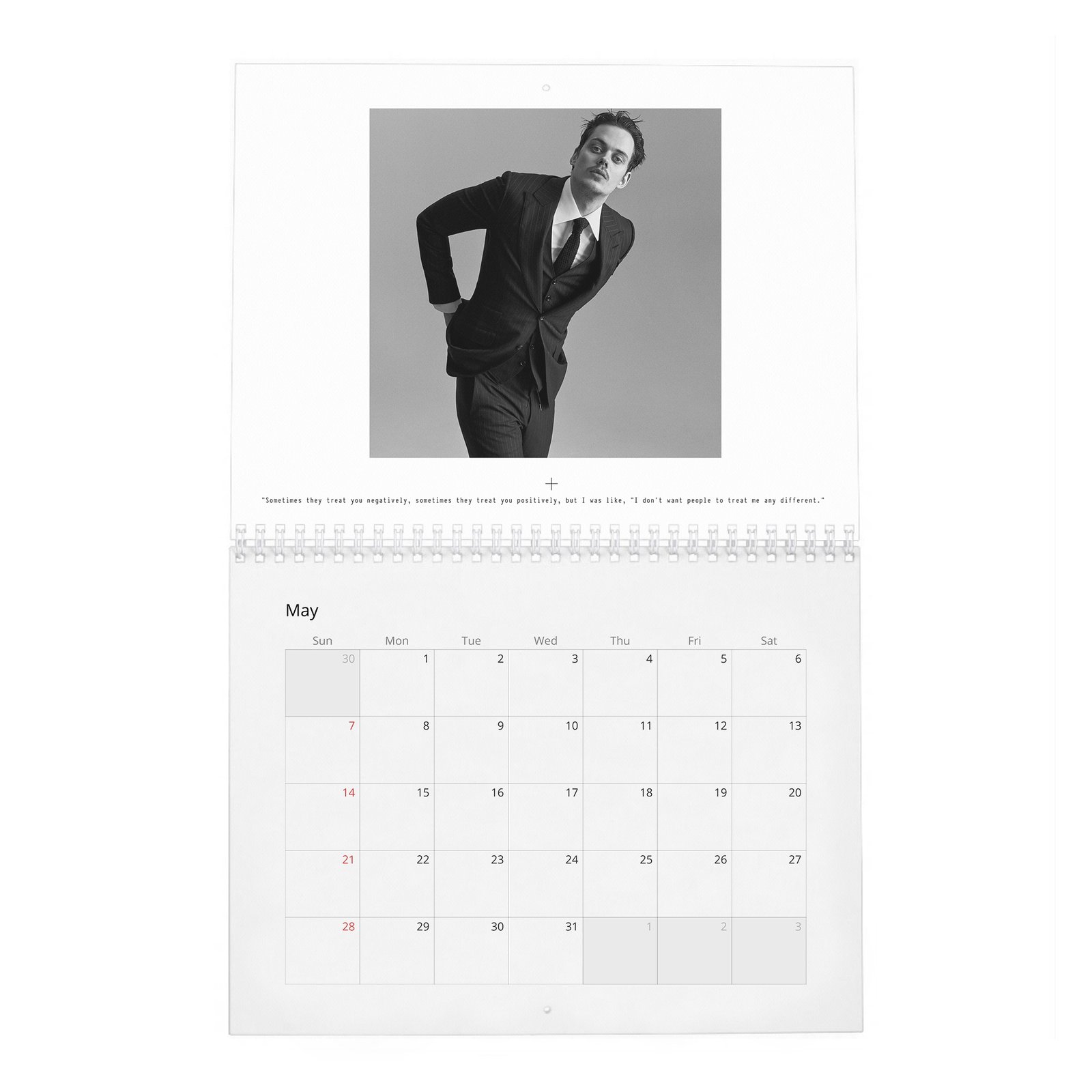 Bill Skarsgard - Hollywood’s Current “It” Boy 2027 Wall Calendar