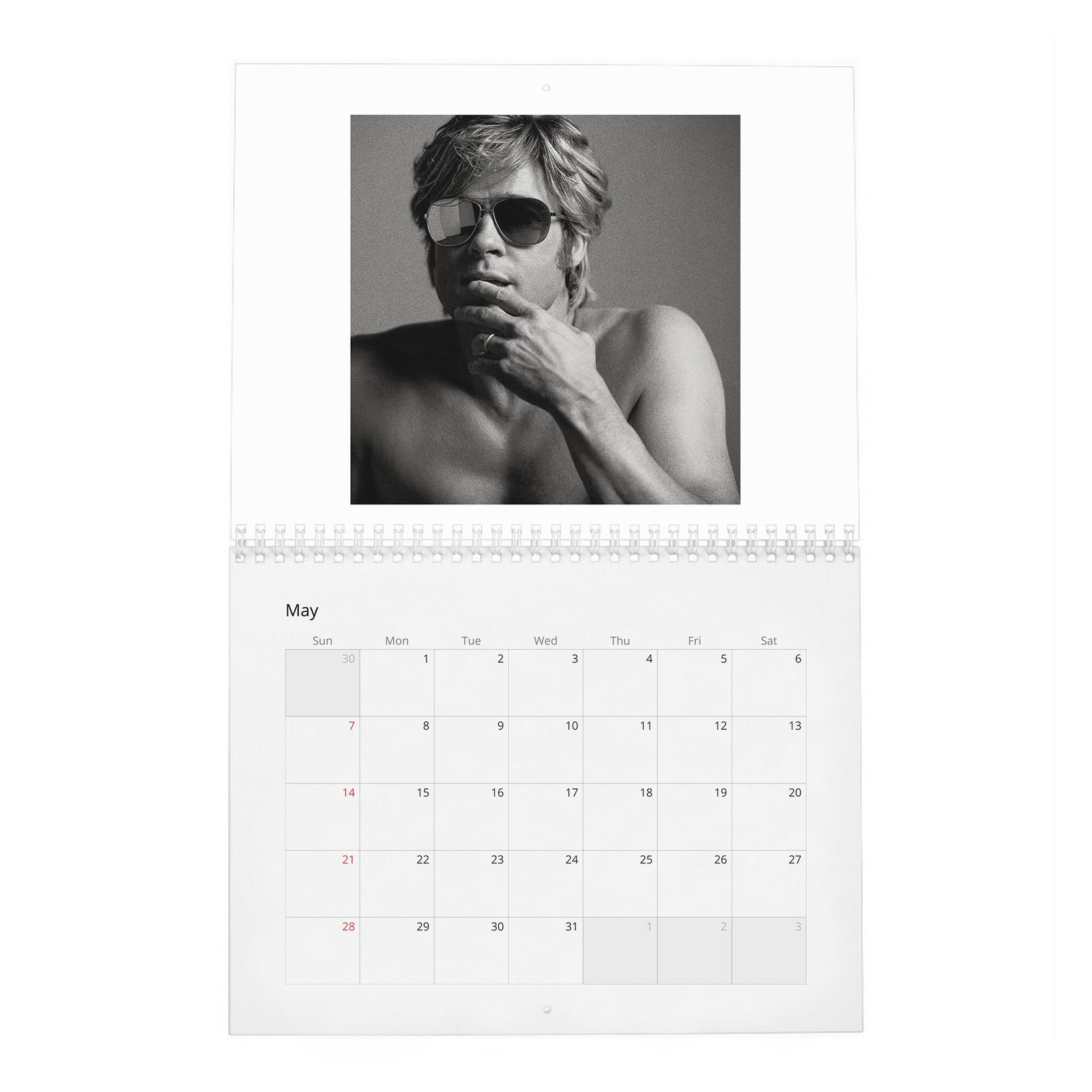 Brad Pitt - Born To Be Brad 2027 Wall Calendar