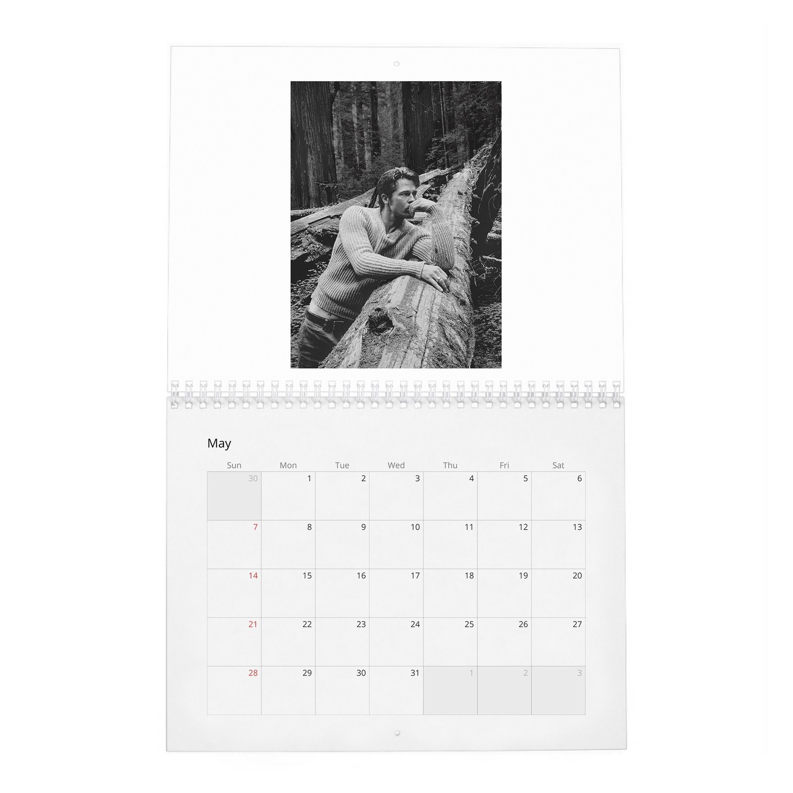 05 Brad Pitt - Forest Soul 2027 Wall Calendar