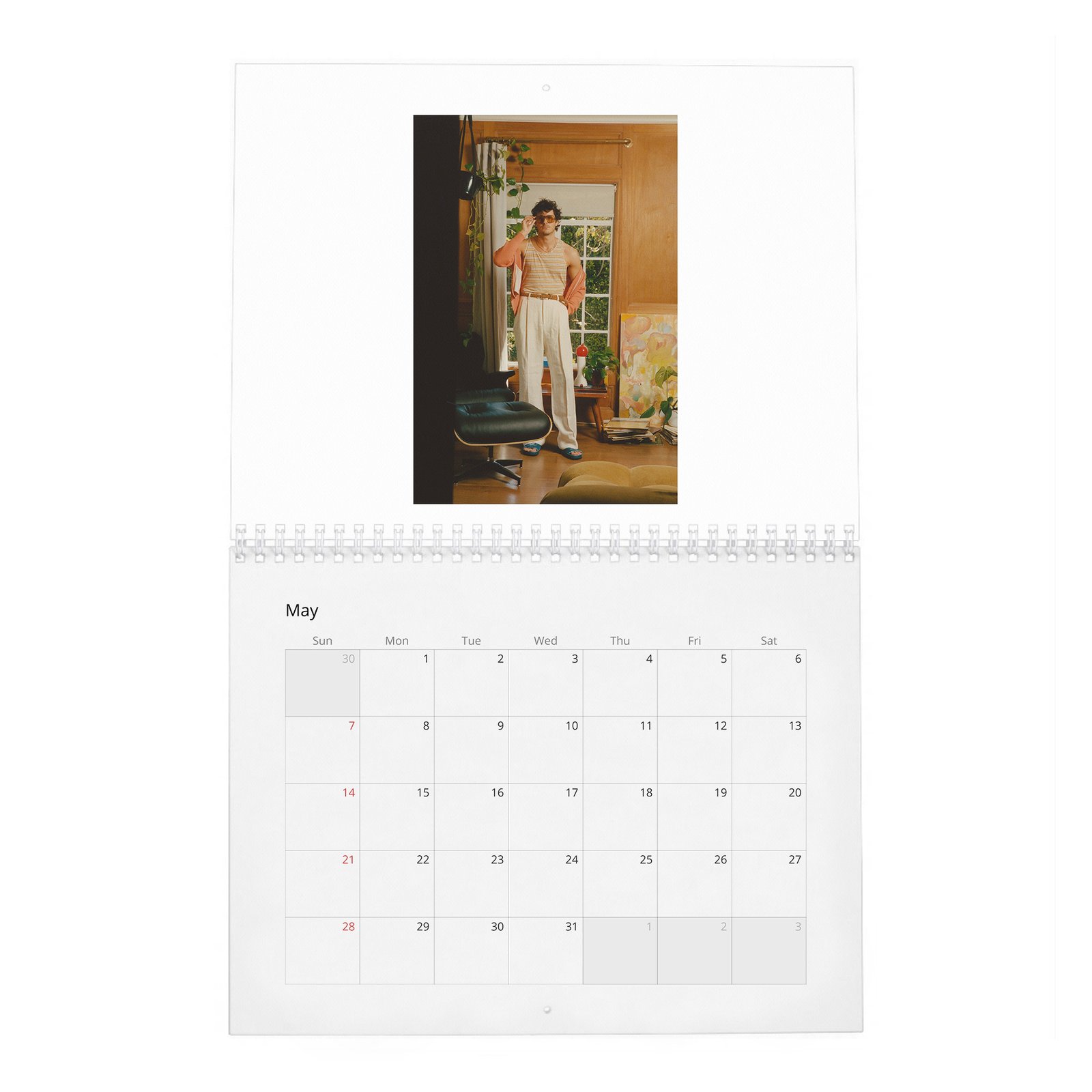 05 Cesar Domboy - Flaunt 2027 Wall Calendar