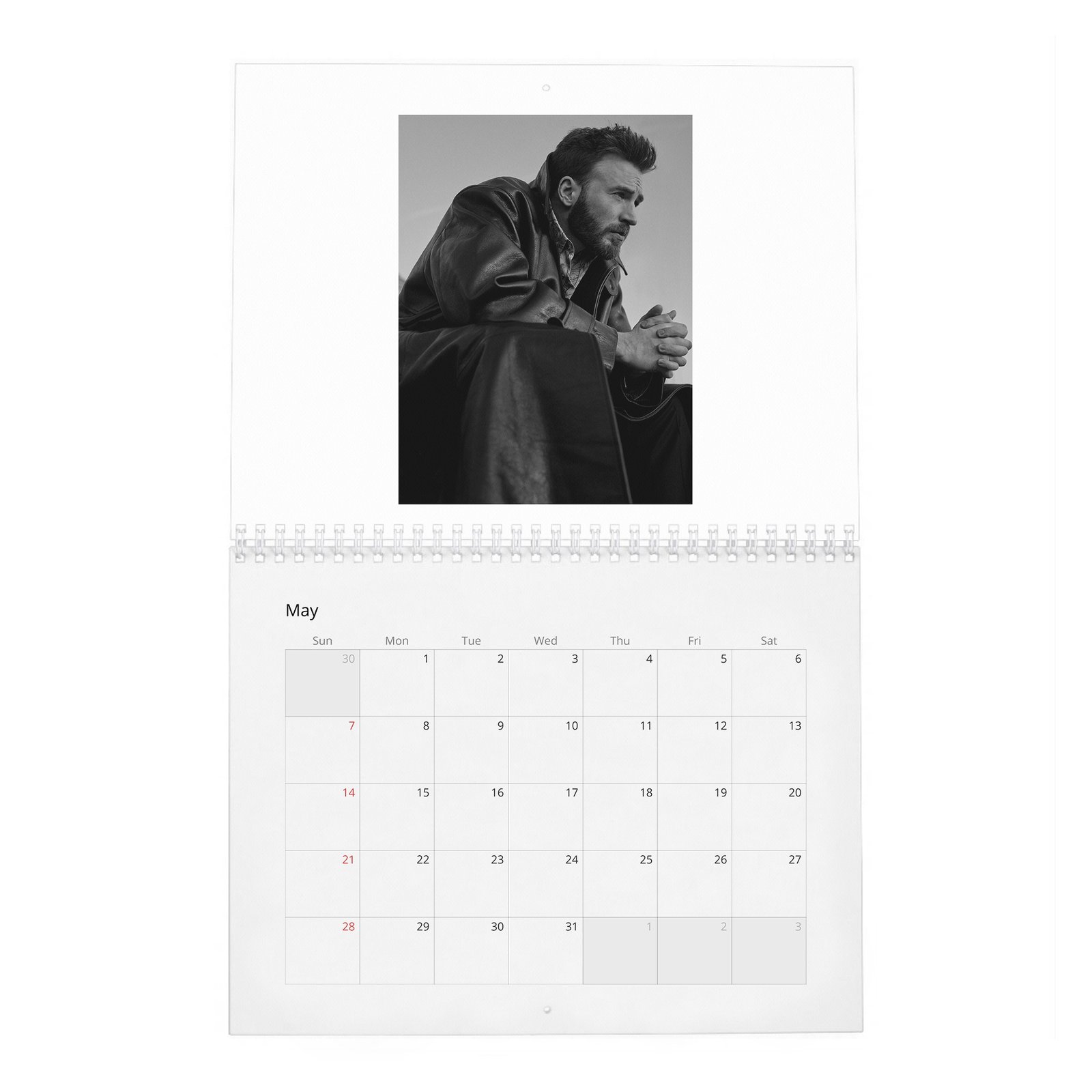 05 Chris Evans - Doesn't Like To Talk About Himself 2027 Wall Calendar