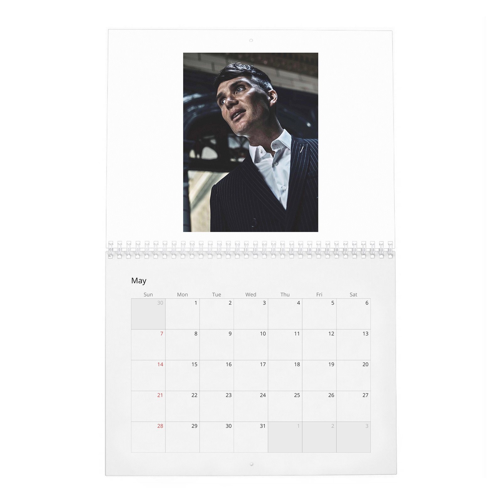 05 Cillian Murphy - Actor Of The Year 2027 Wall Calendar