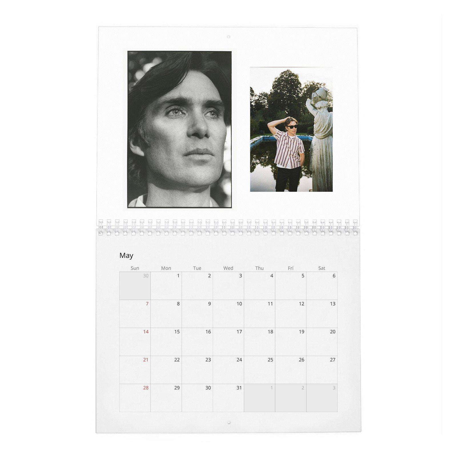 05 Cillian Murphy - Field Of His Own 2027 Wall Calendar