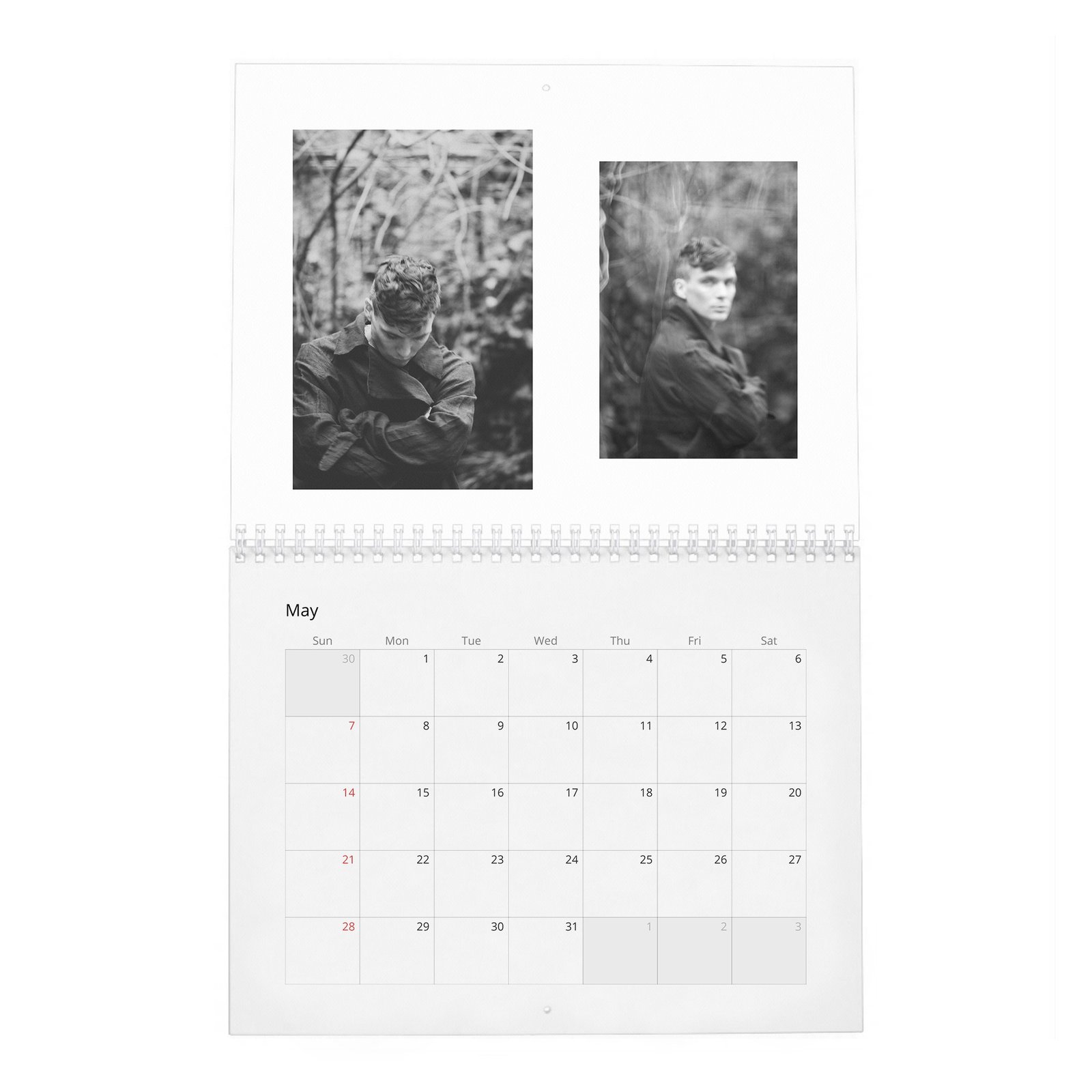 05 Cillian Murphy - So It Goes 2027 Wall Calendar