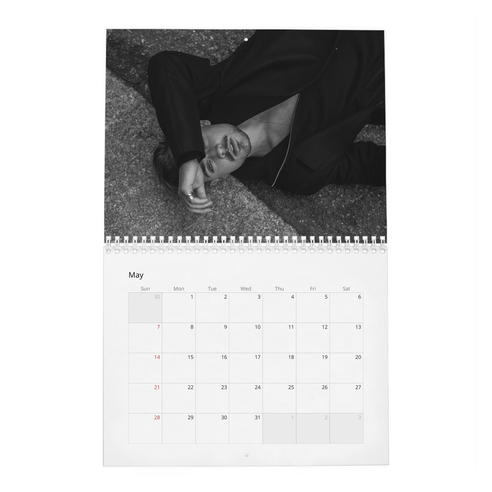 05 Dacre Montgomery - In Pursuit Of Curiosity 2027 Wall Calendar