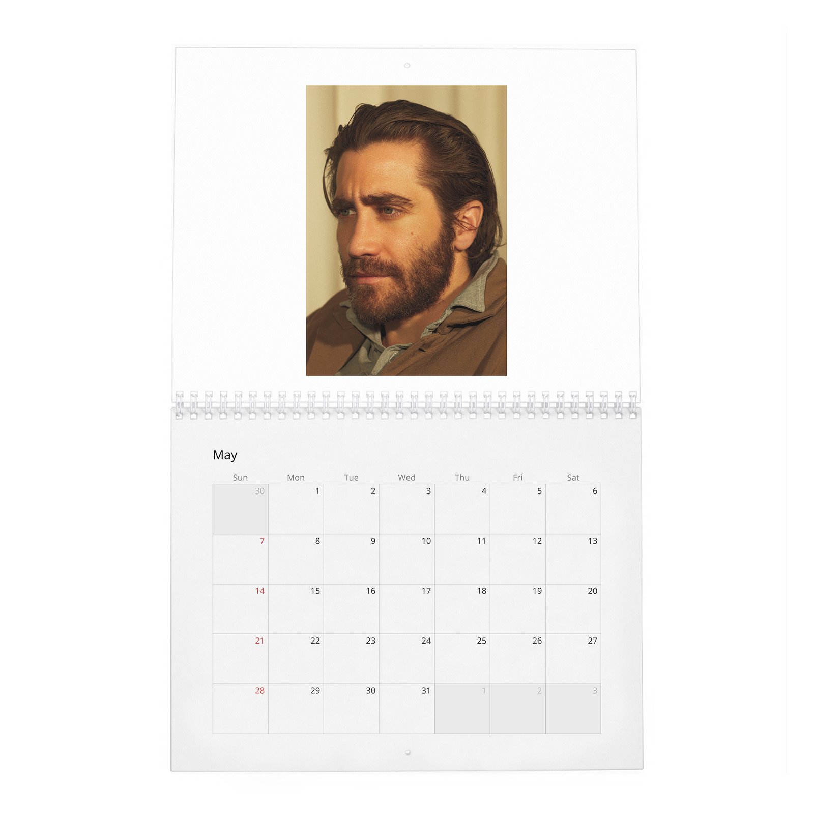 05 Jake Gyllenhaal - Man Of The World 2027 Wall Calendar