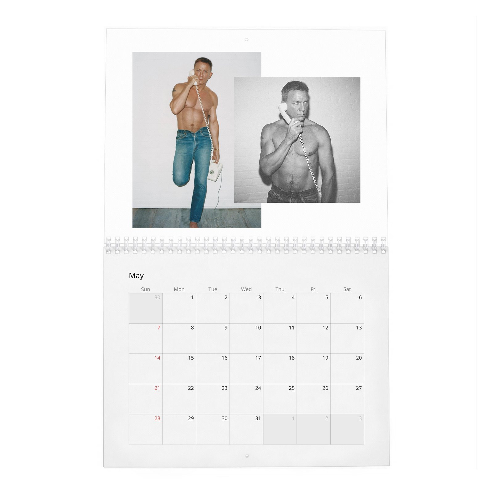 05 Daniel Craig - Heart Of An Assassin 2027 Wall Calendar