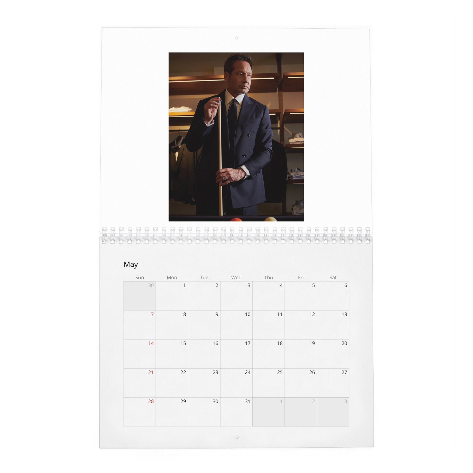 David Duchovny - Weekend In The Life 2027 Wall Calendar