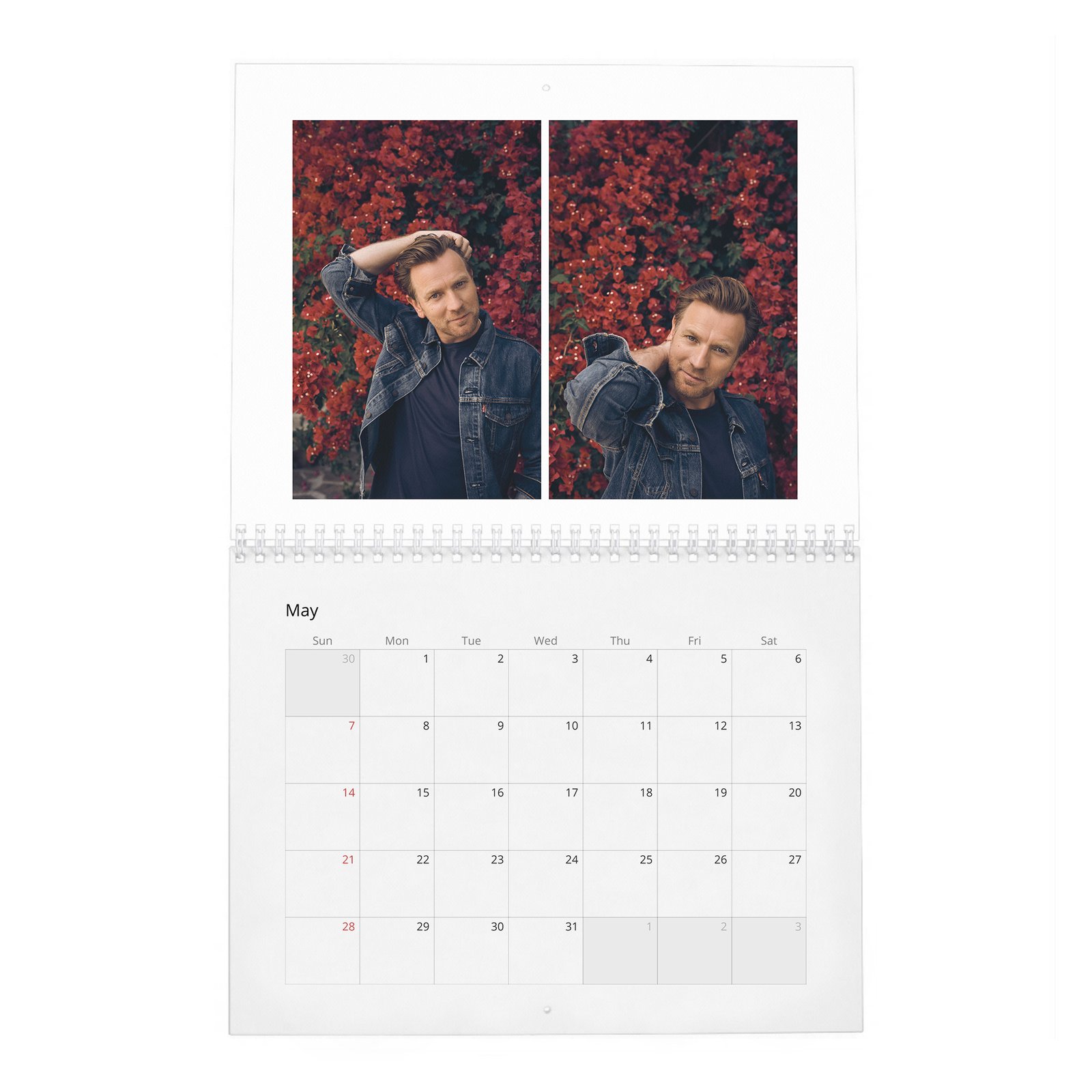 05 Ewan Mcgregor - Leading Man 2027 Wall Calendar