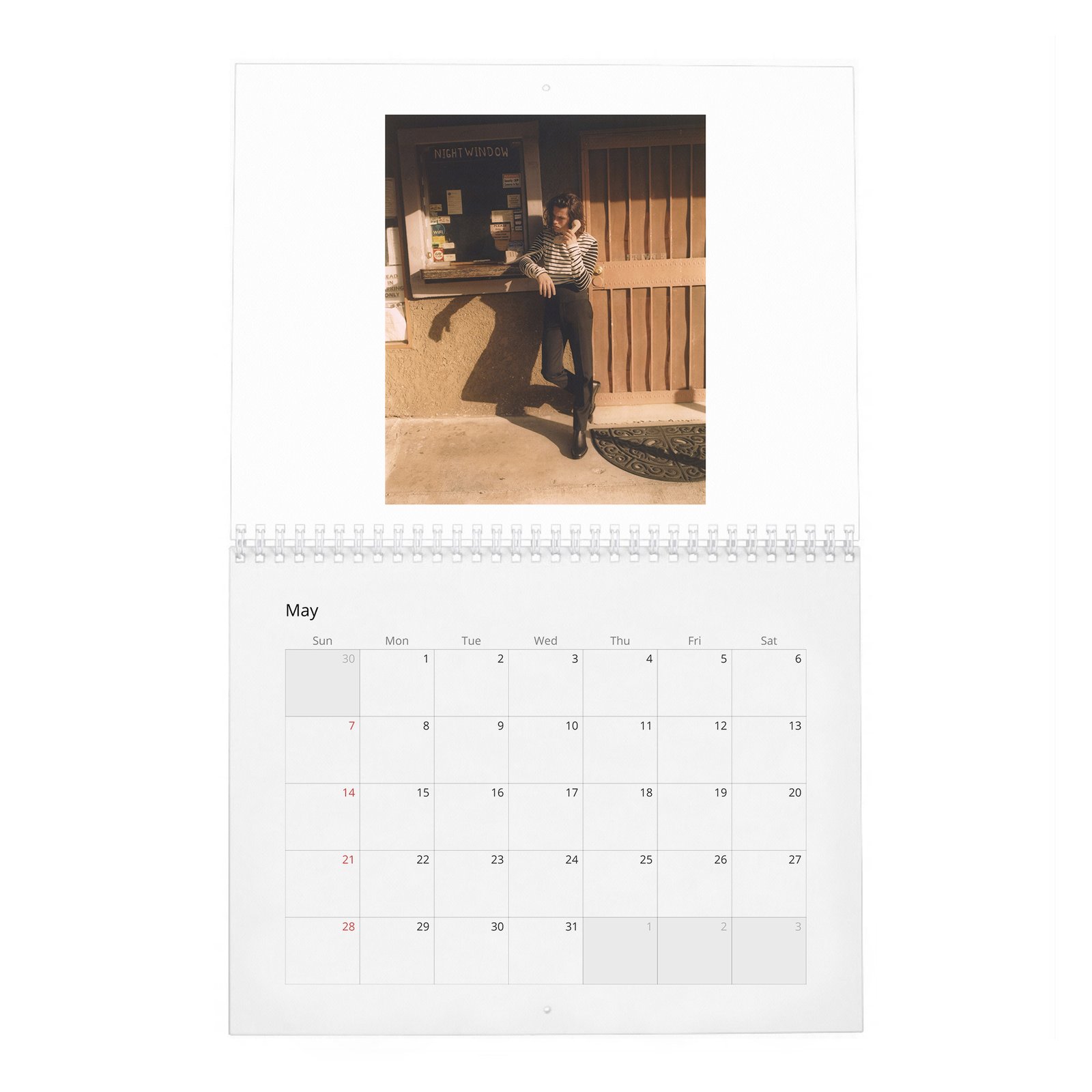 Felix Mallard - Flaunt 2027 Wall Calendar