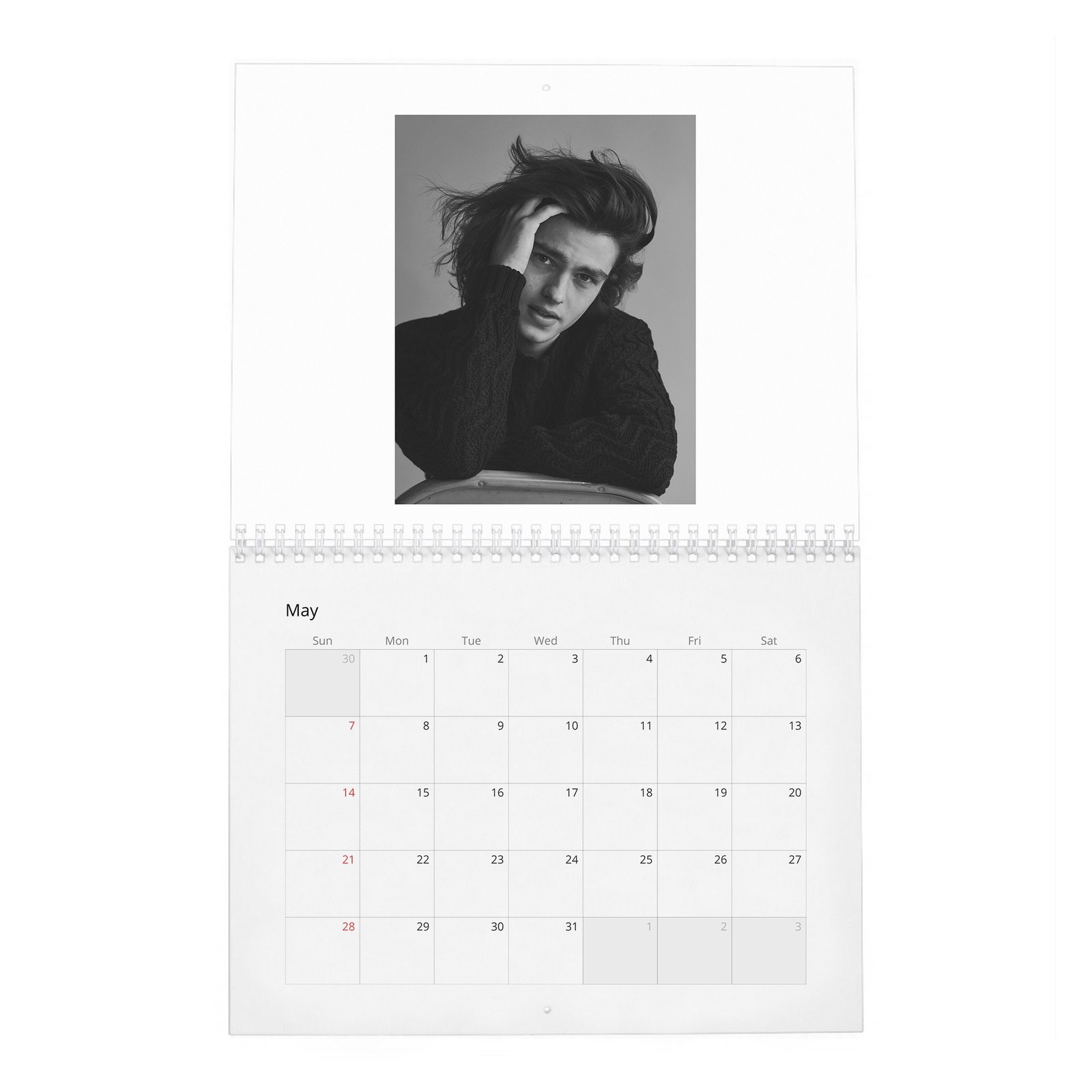 05 Felix Mallard - Move Slowly 2027 Wall Calendar