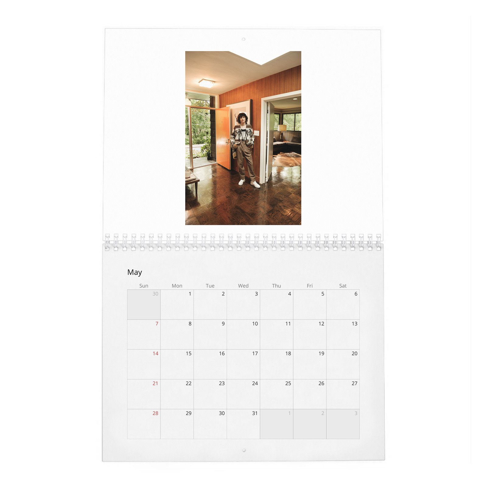 05 Finn Wolfhard - Stranger Teen 2027 Wall Calendar