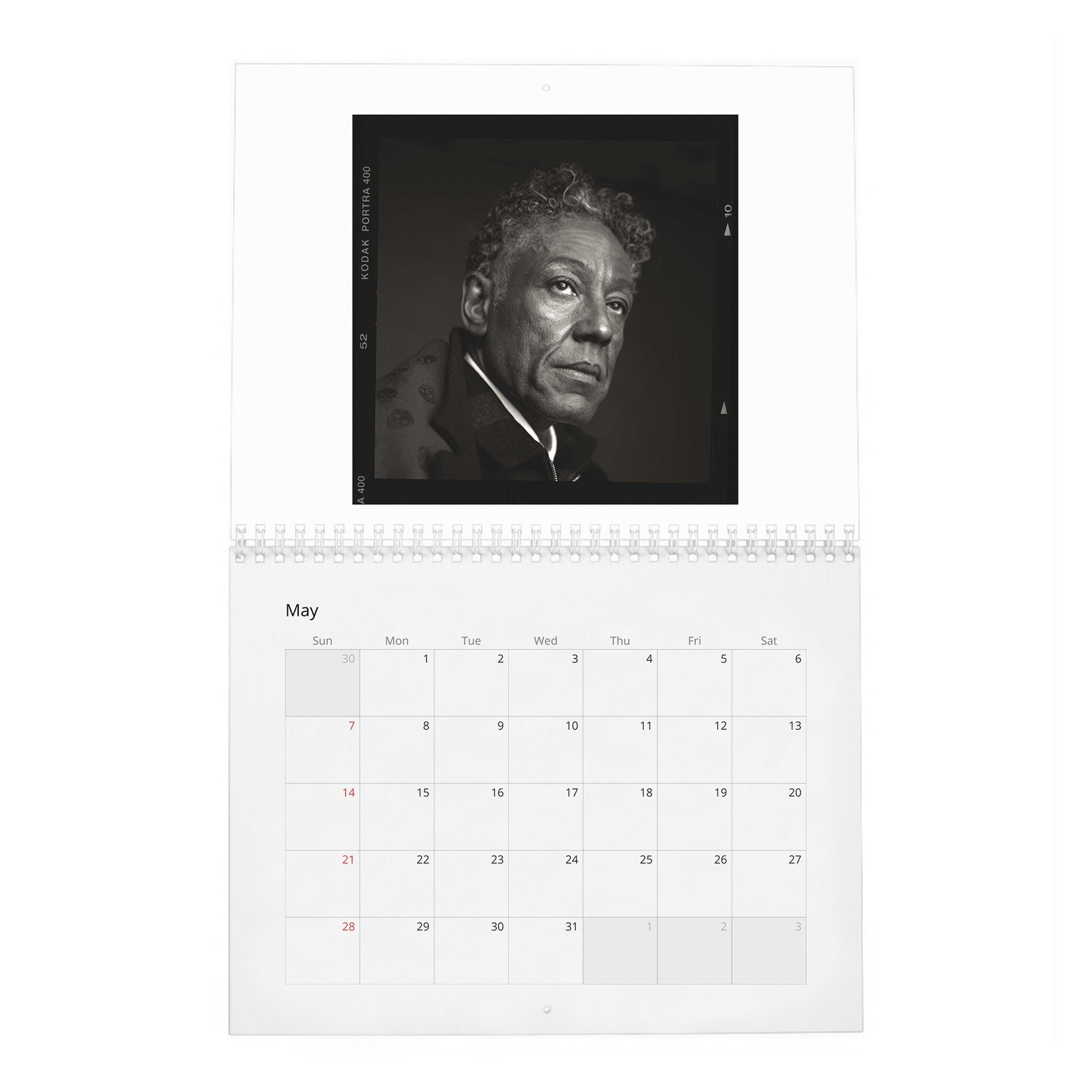 05 Giancarlo Esposito - Rogue 2027 Wall Calendar