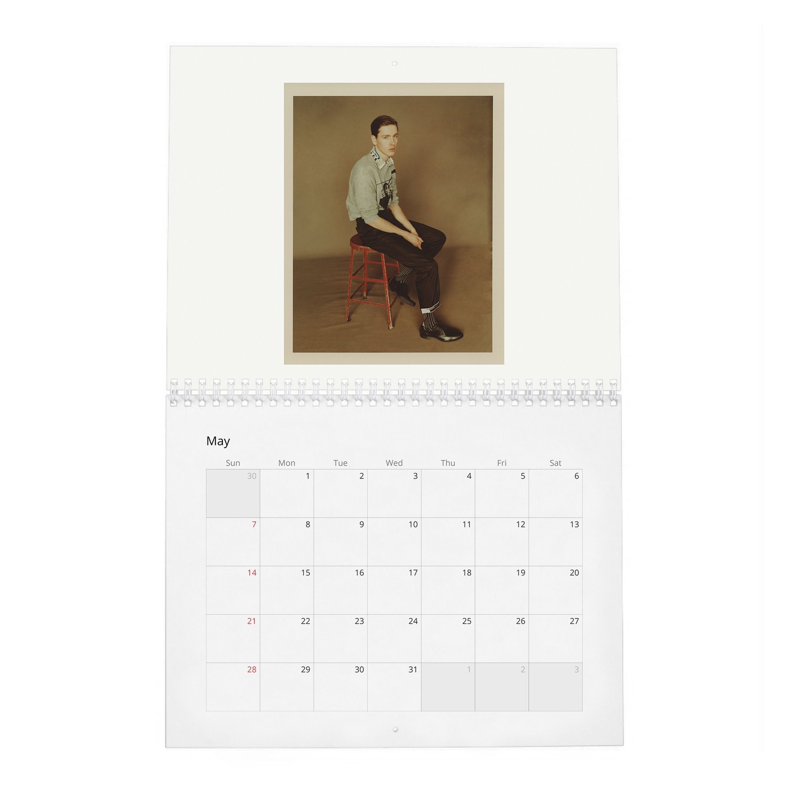 05 Harris Dickinson - Playing With Light 2027 Wall Calendar