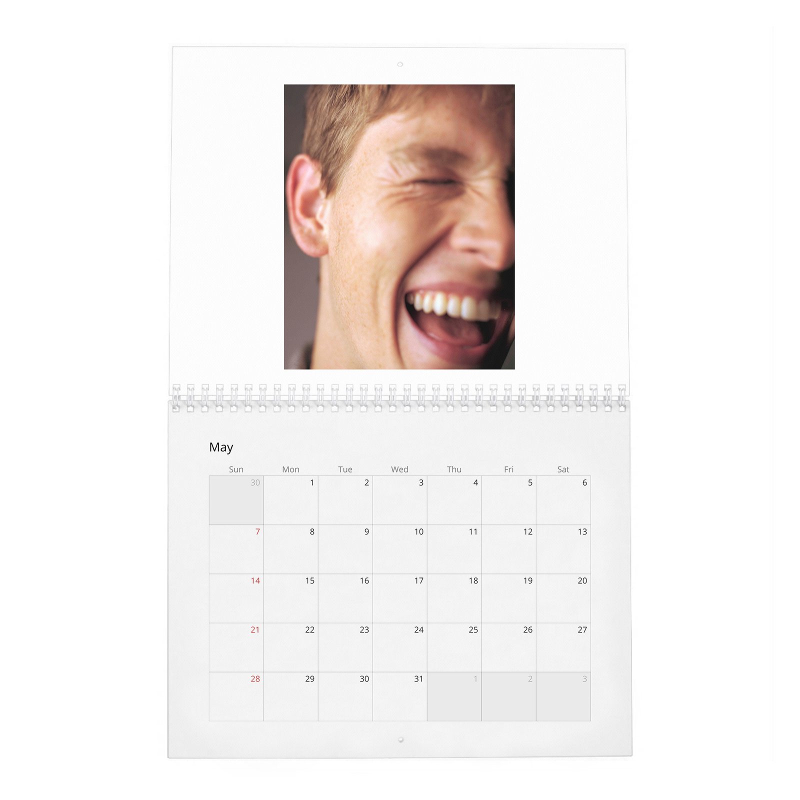 Harris Dickinson - Wonderland 2027 Wall Calendar