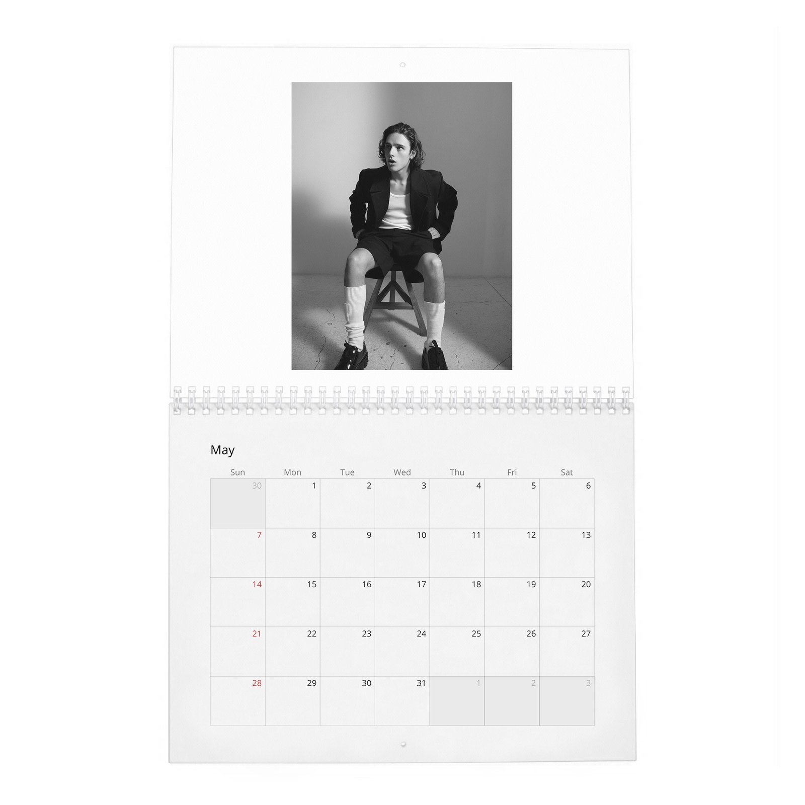 Harry Collett - Fire In The Belly 2027 Wall Calendar