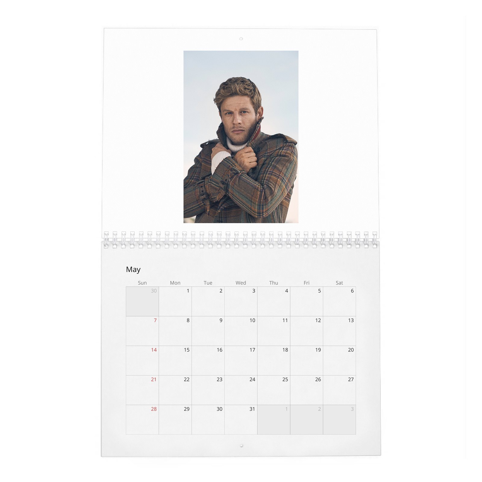 James Franco - The Real 2027 Wall Calendar