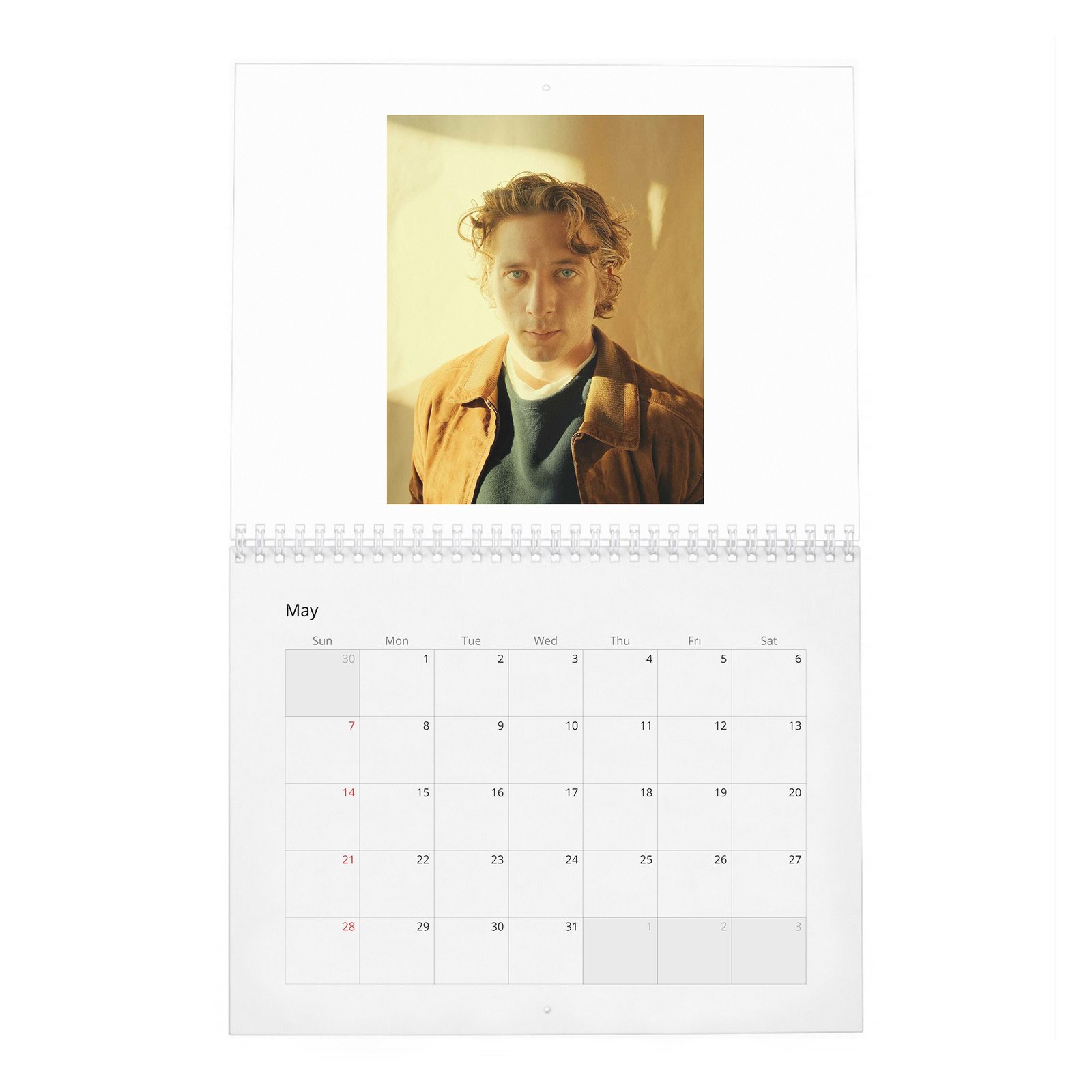 Jeremy Allen White - Yes Chef 2027 Wall Calendar