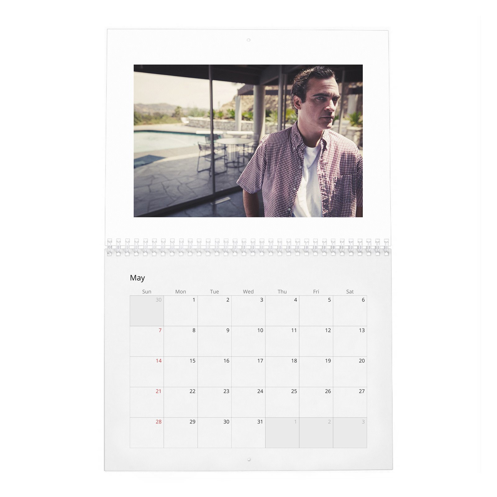 05 Joaquin Phoenix - Hollywood Rebel 2027 Wall Calendar