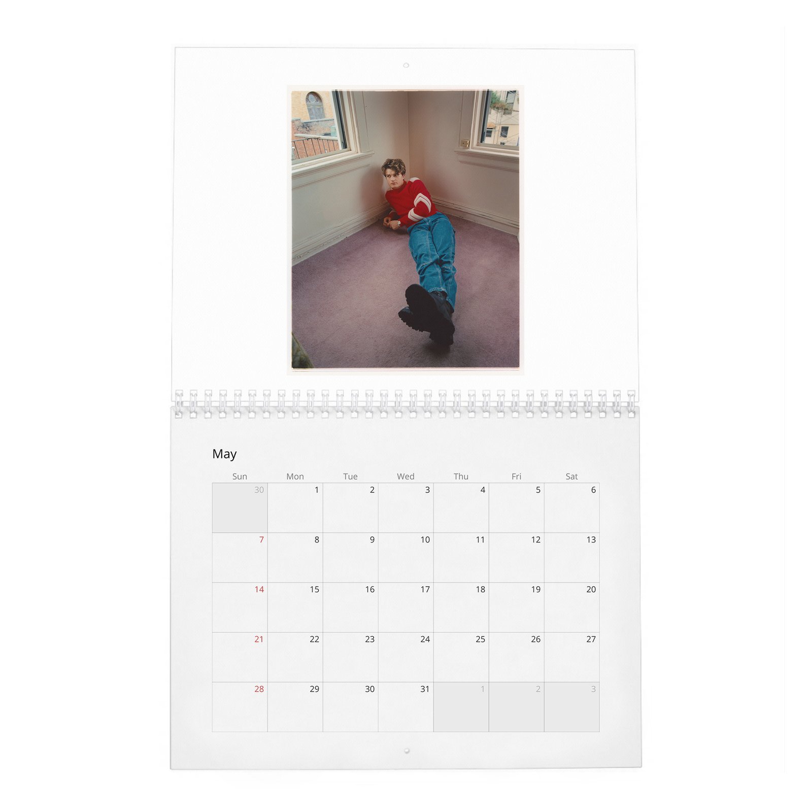 Joe Keery - Levels Up 2027 Wall Calendar