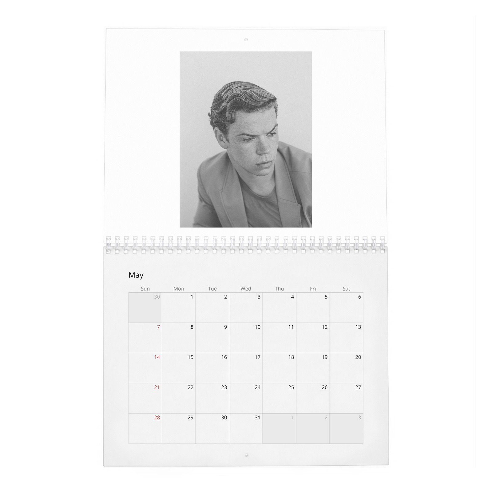 05 Will Poulter - Laterals 2027 Wall Calendar