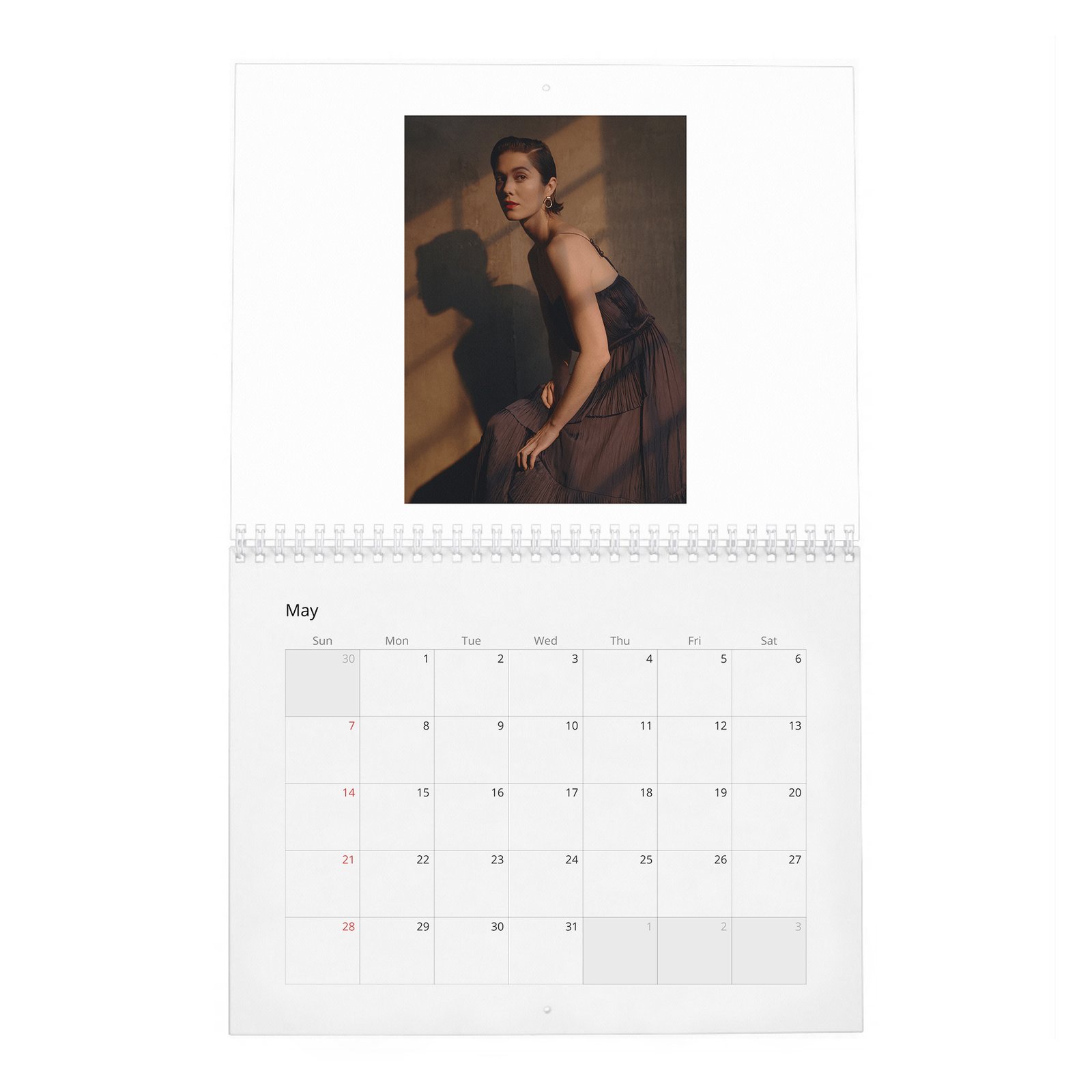 05 Mary Elizabeth Winstead - Laterals 2027 Wall Calendar