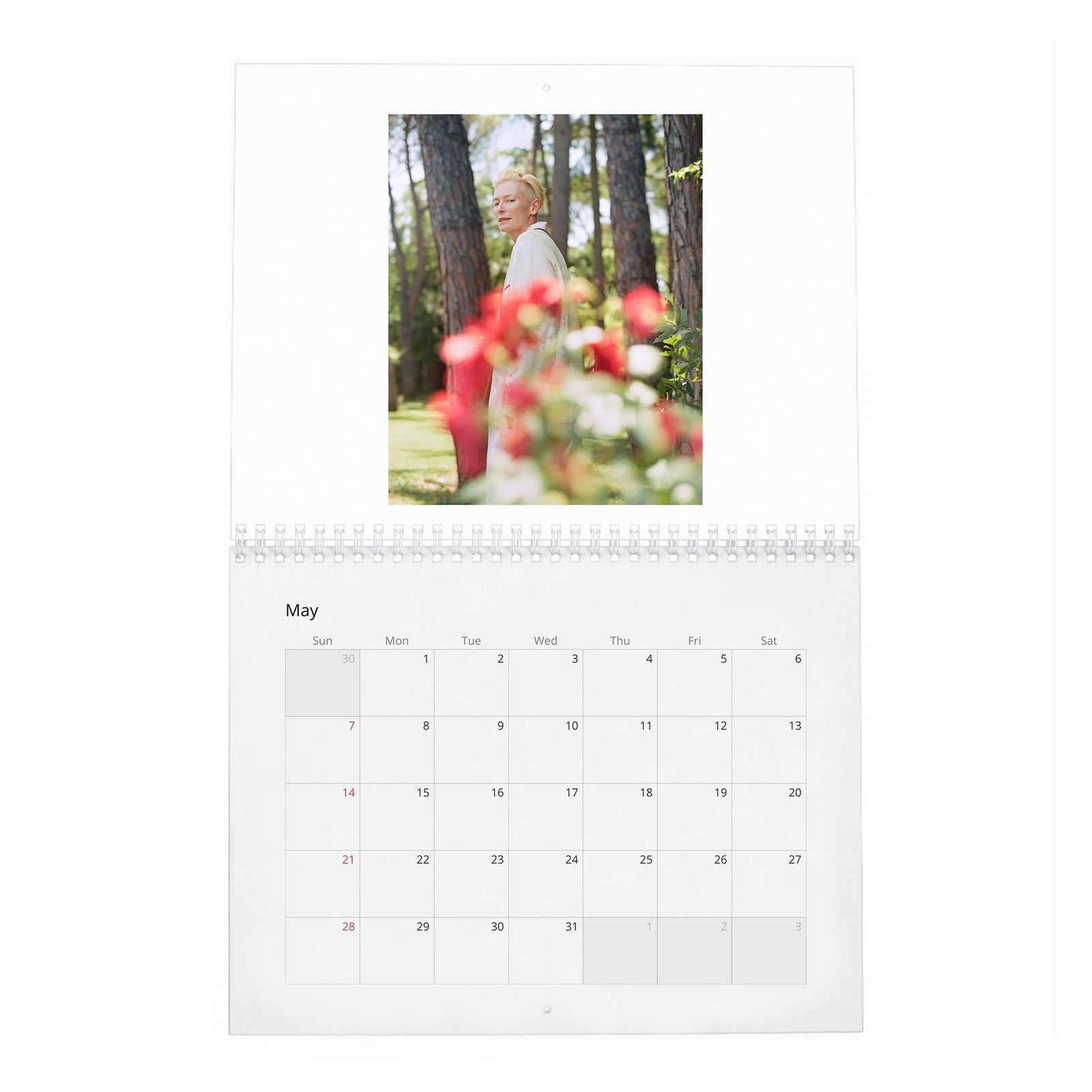05 Tilda Swinton - Cine-Nerd 2027 Wall Calendar