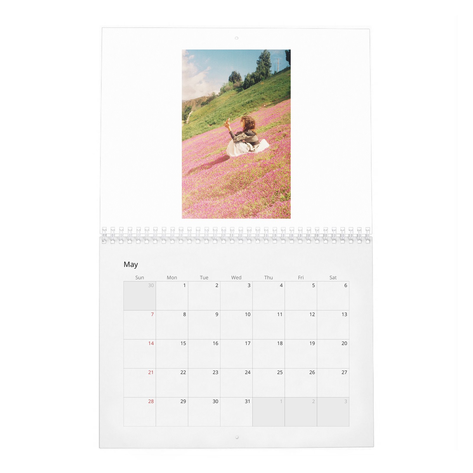 Zendaya - Wonderland 2027 Wall Calendar