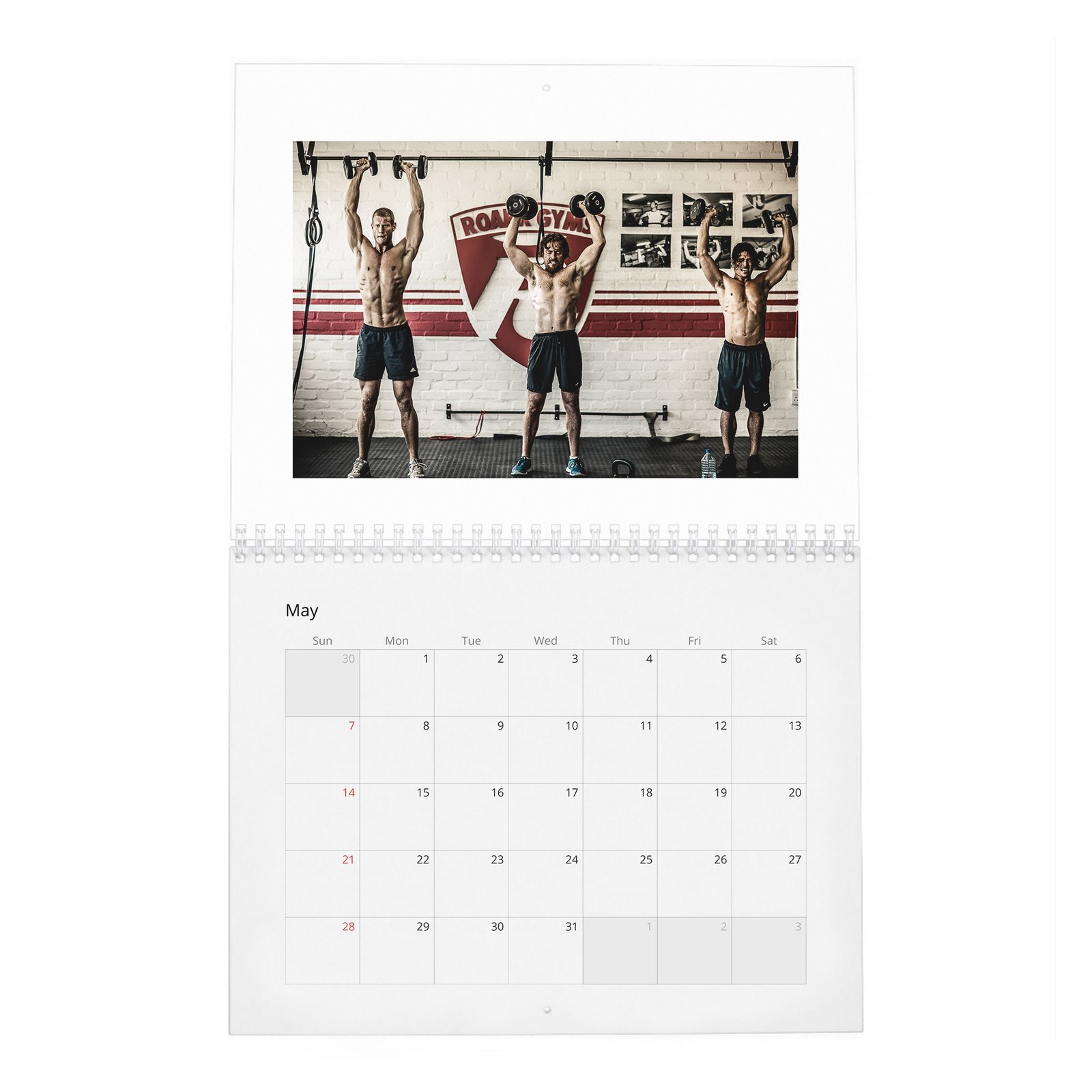05 Black Sails Leading Men - Burn the Ships 2027 Wall Calendar