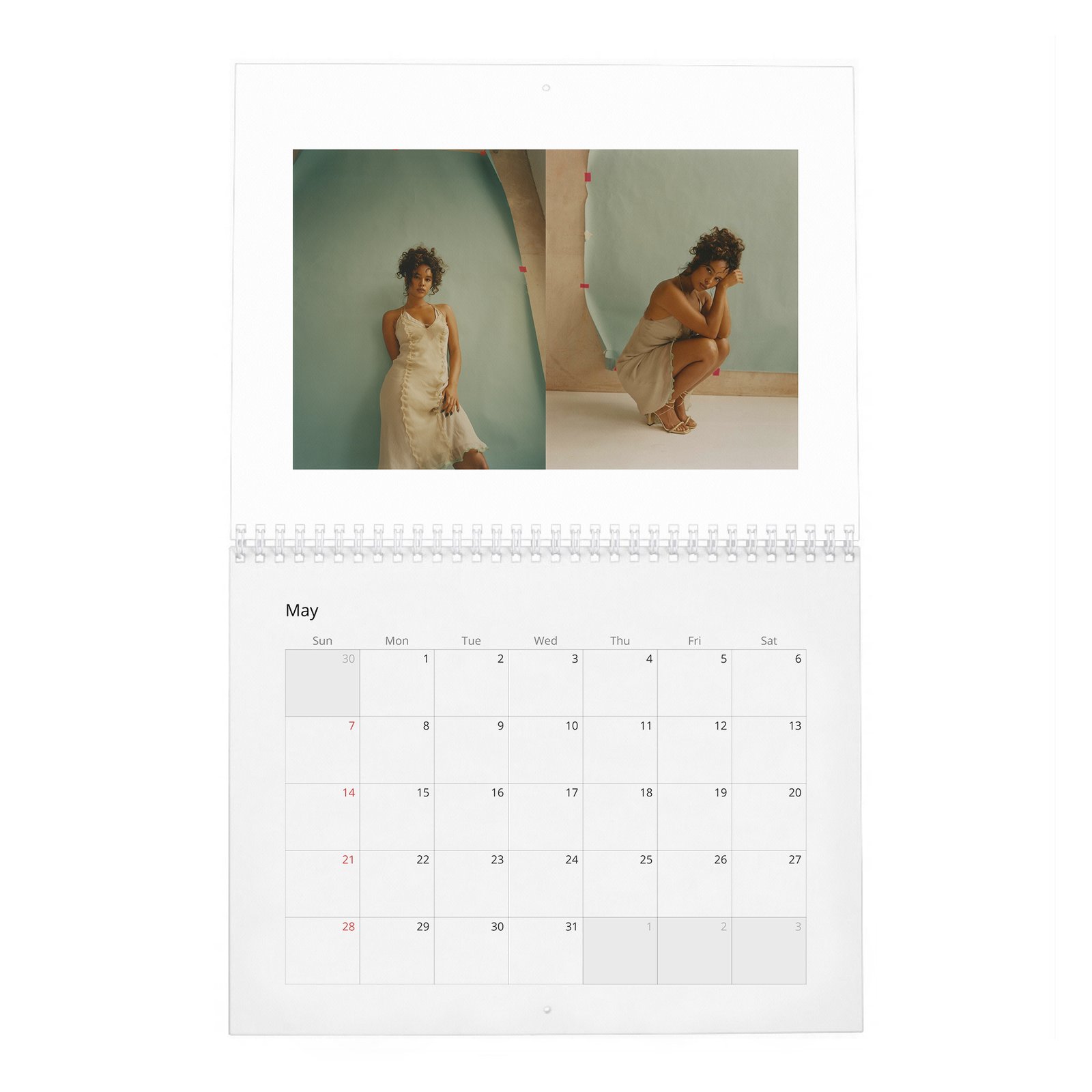 05 Alisha Boe - Wonderland 2027 Wall Calendar
