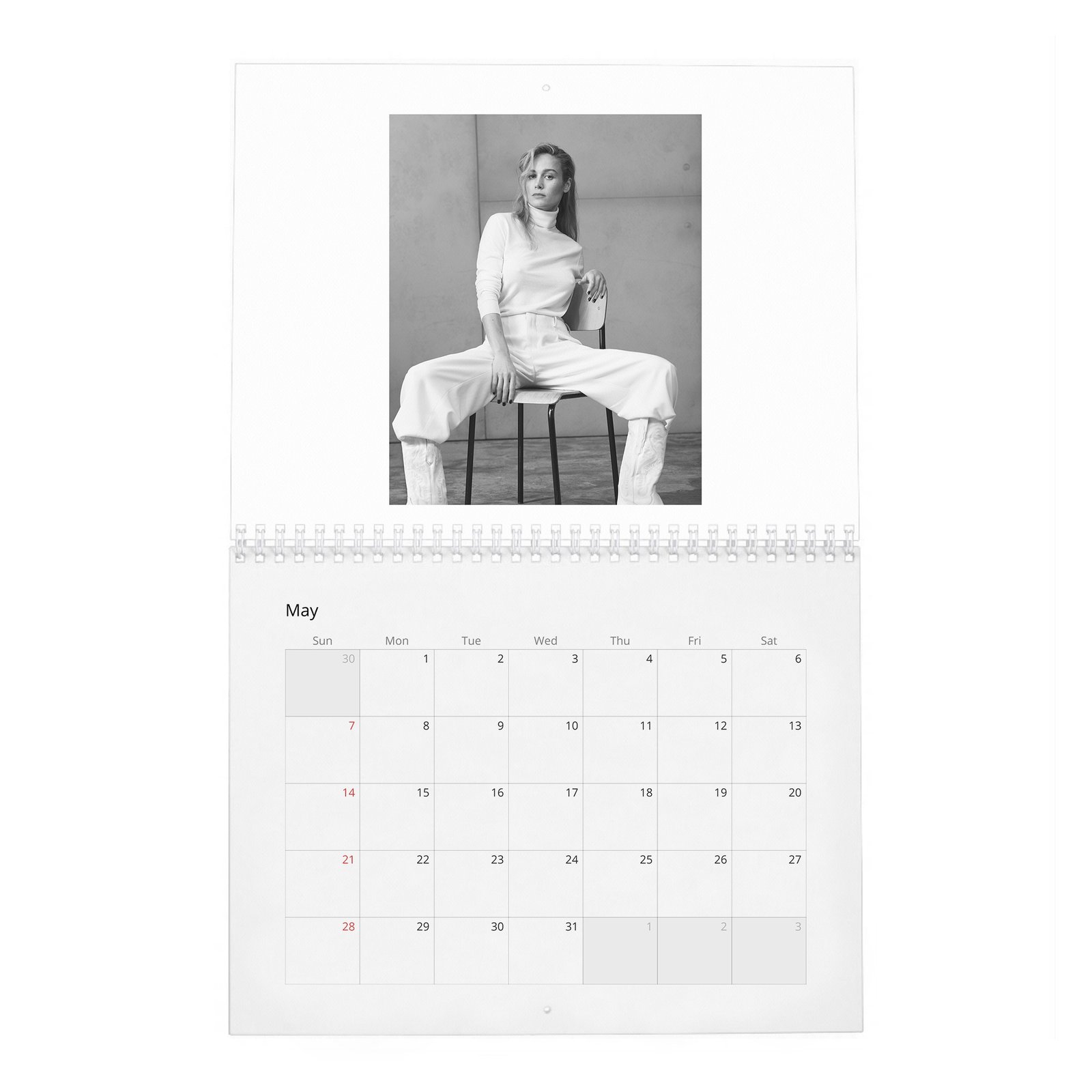 Brie Larson - Goes Her Own Way 2027 Wall Calendar