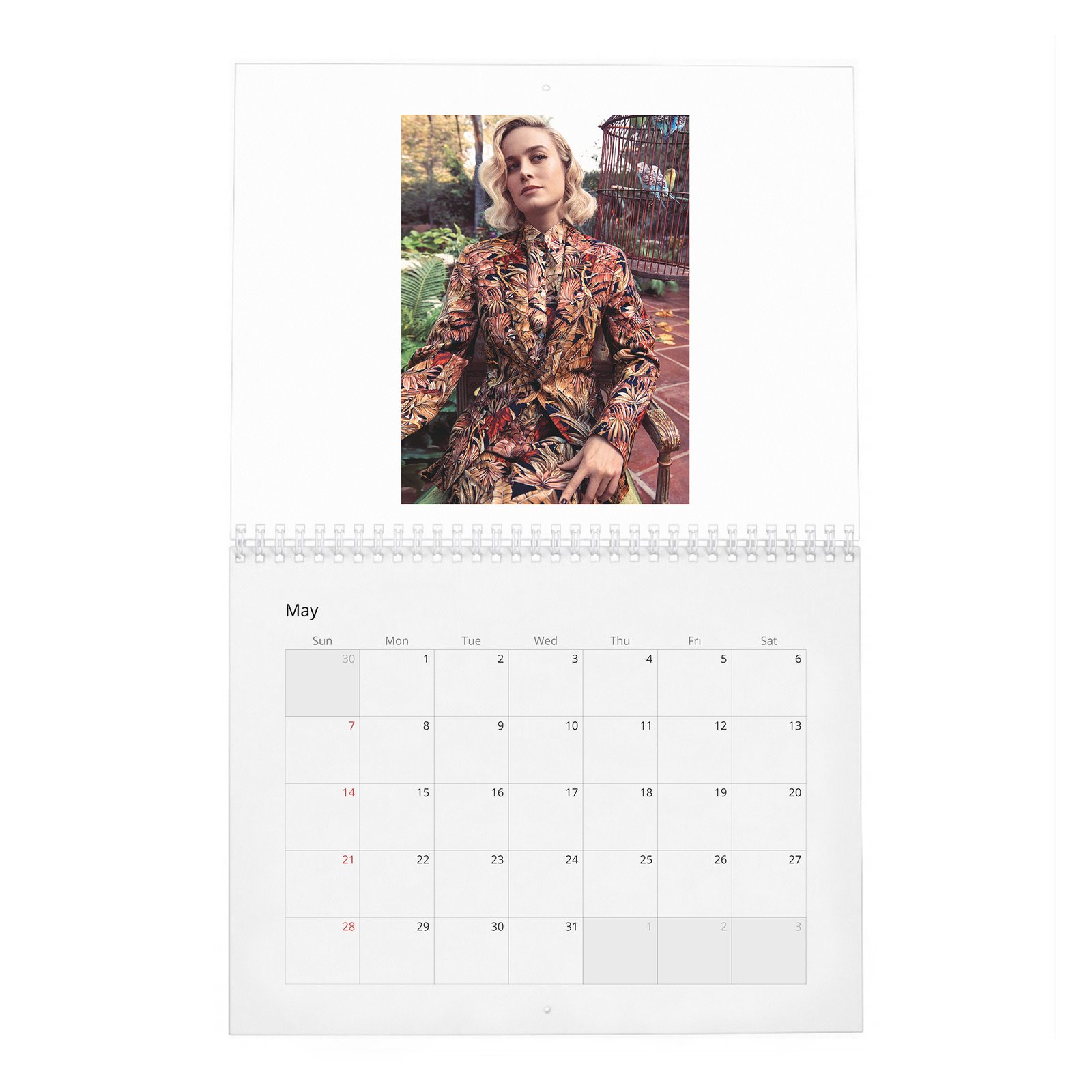 05 Brie Larson - Ready To Kick Some Ass 2027 Wall Calendar