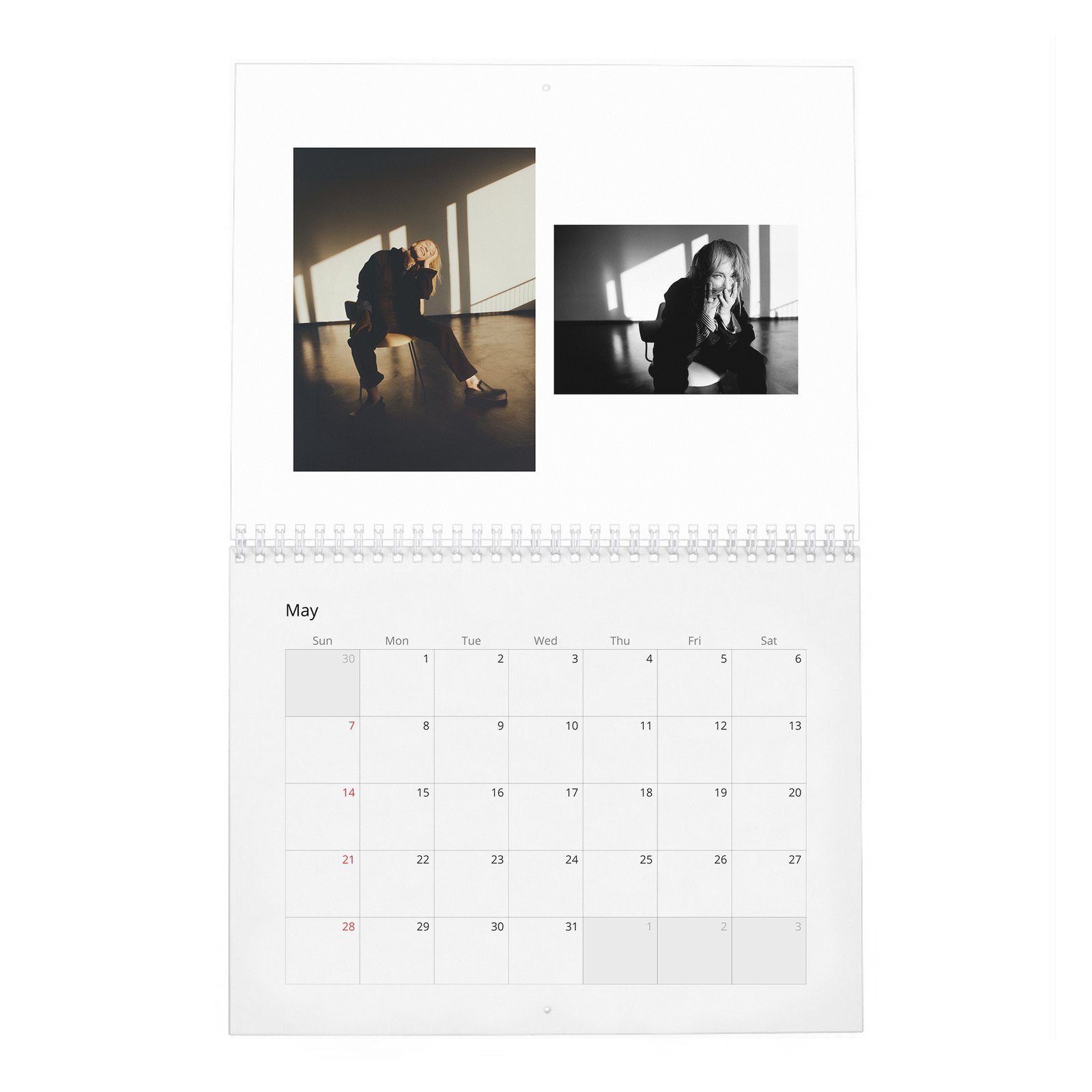 05 Cate Blanchett - Leading Light 2027 Wall Calendar