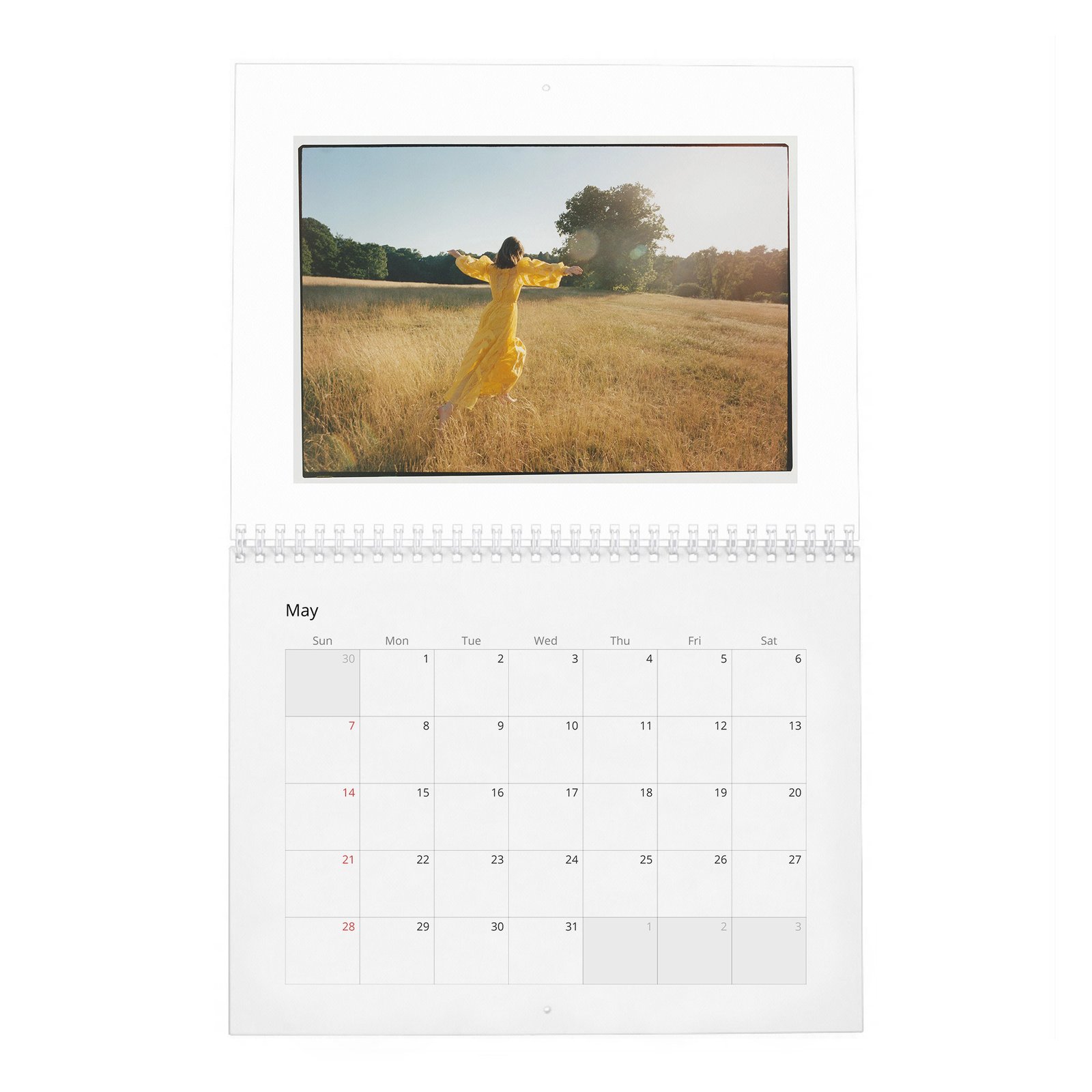 05 Daisy Edgar-Jones - Starring Breaktrough Talent 2027 Wall Calendar