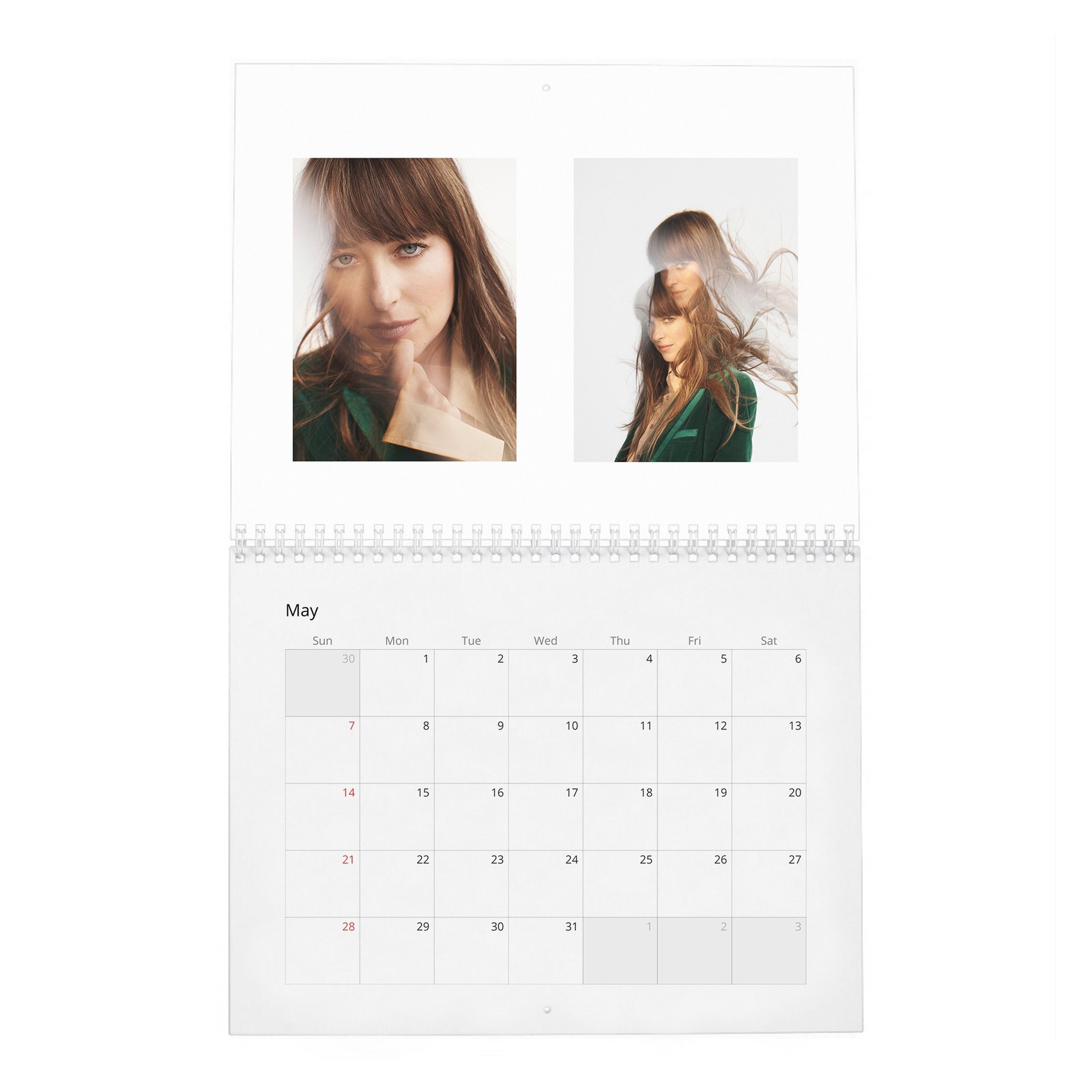 Dakota Johnson - Finding Her Light 2027 Wall Calendar