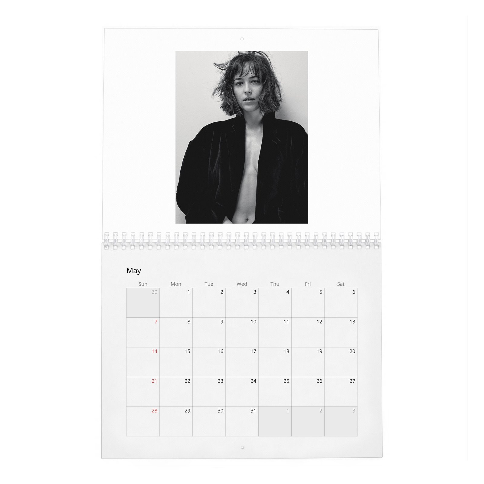 Dakota Johnson - Present A New Vision 2027 Wall Calendar