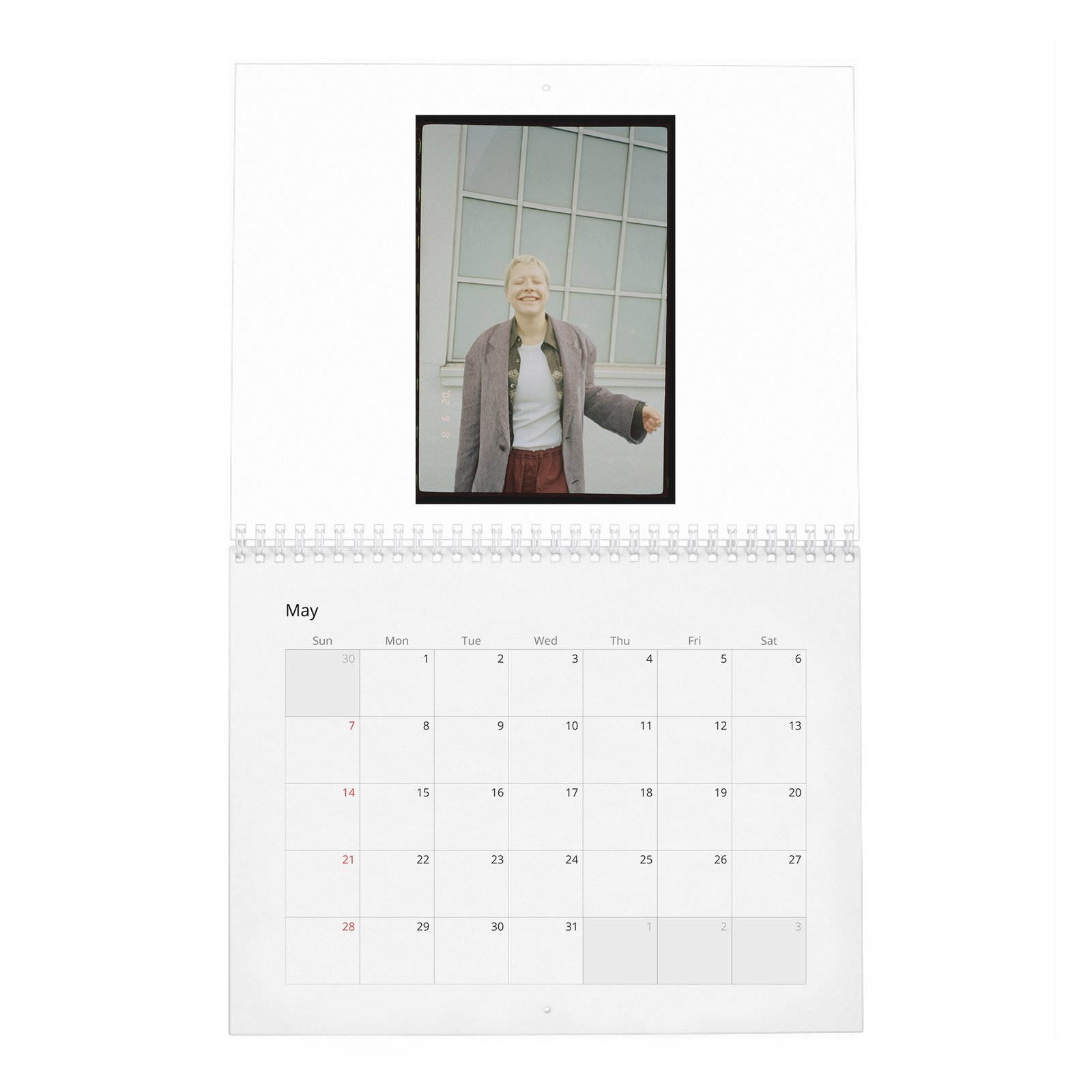 Emma D’Arcy - The Dragon Queen 2027 Wall Calendar