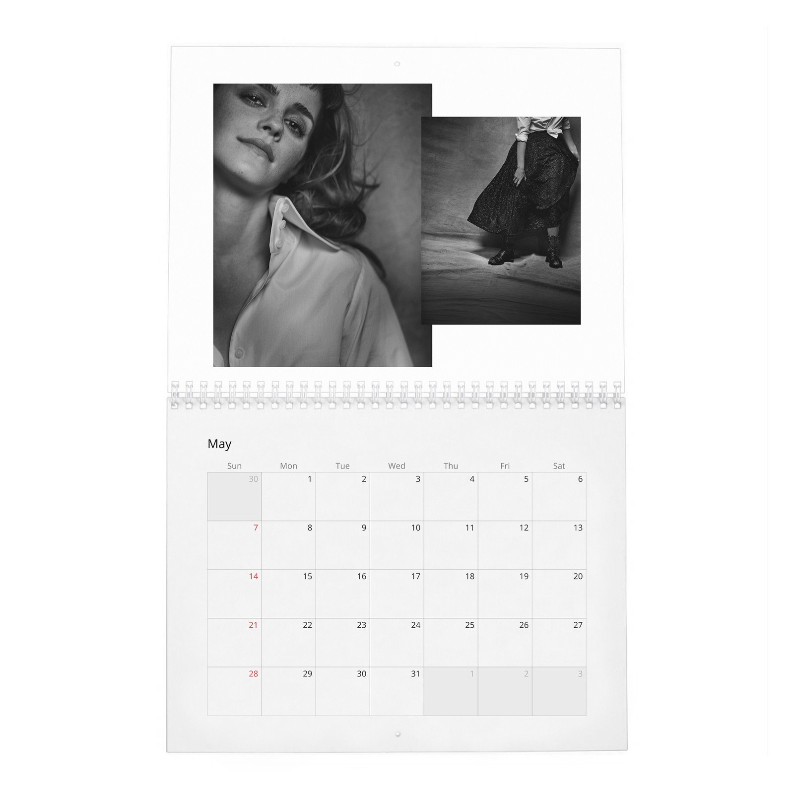 Emma Watson - Voice For Change 2027 Wall Calendar